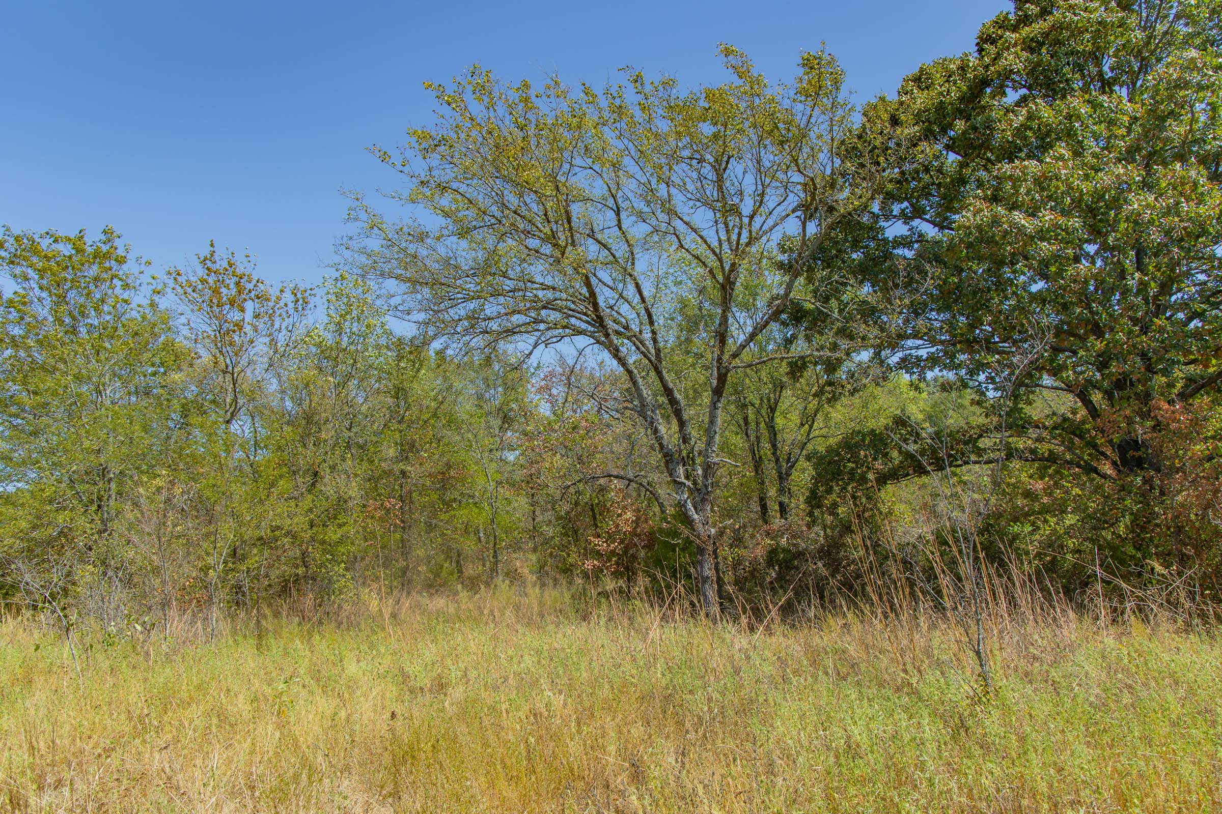 Gracyn Meadows Tract 2 photo 3