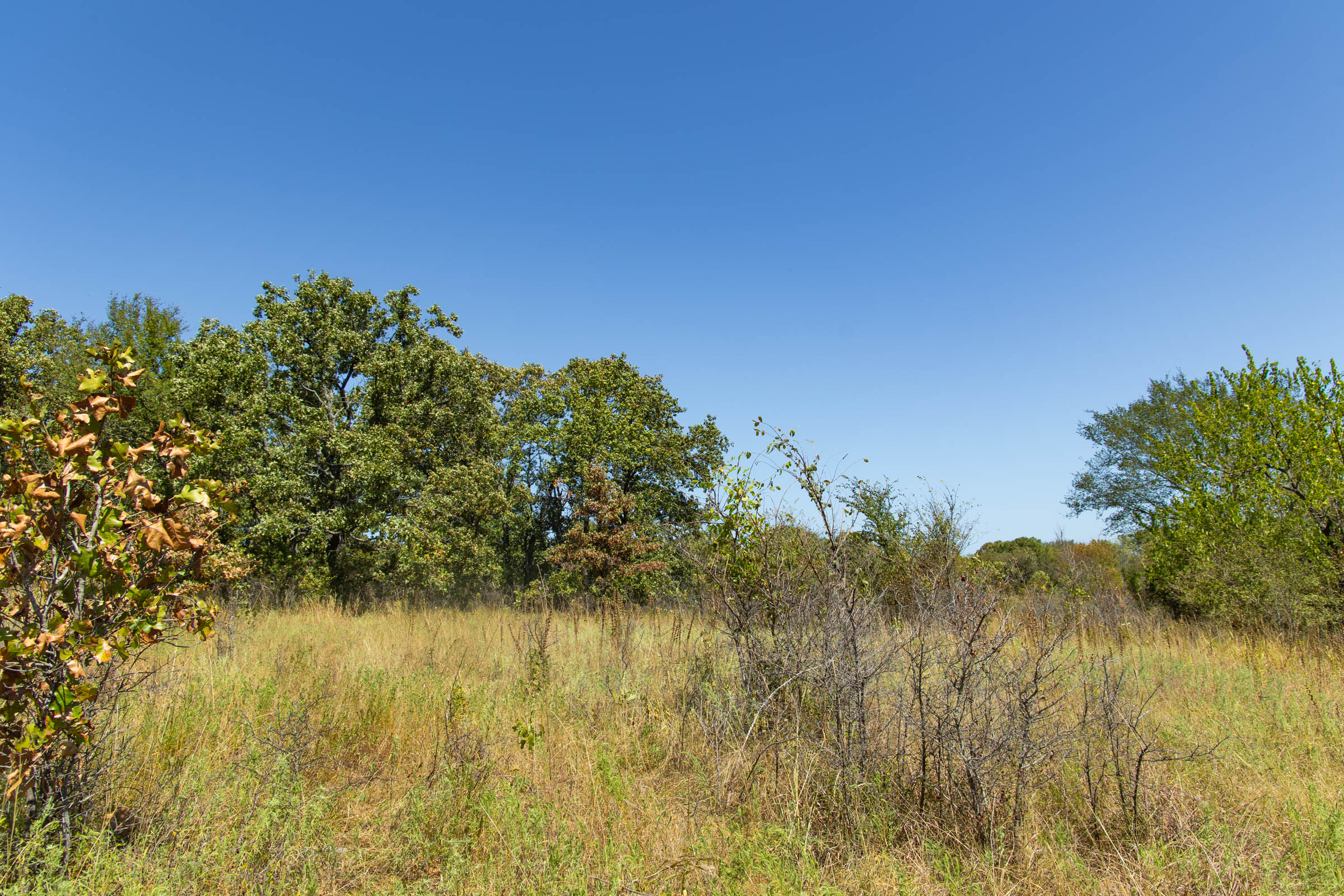 Gracyn Meadows Tract 2 photo 10