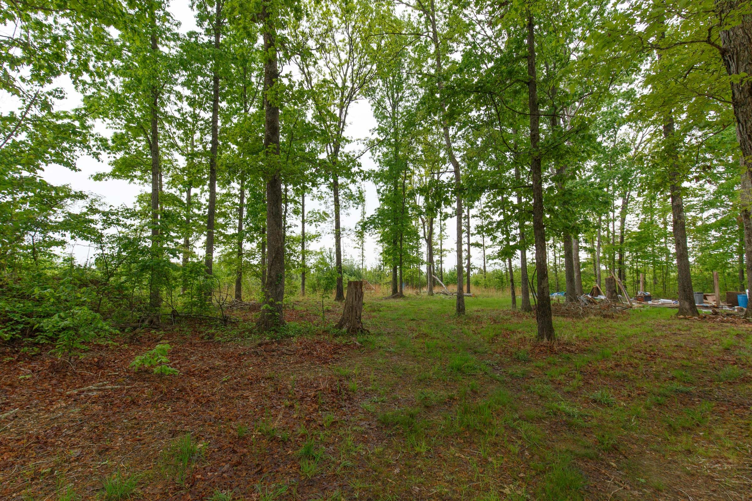 Red Barn Ranch Tract 12 photo 3