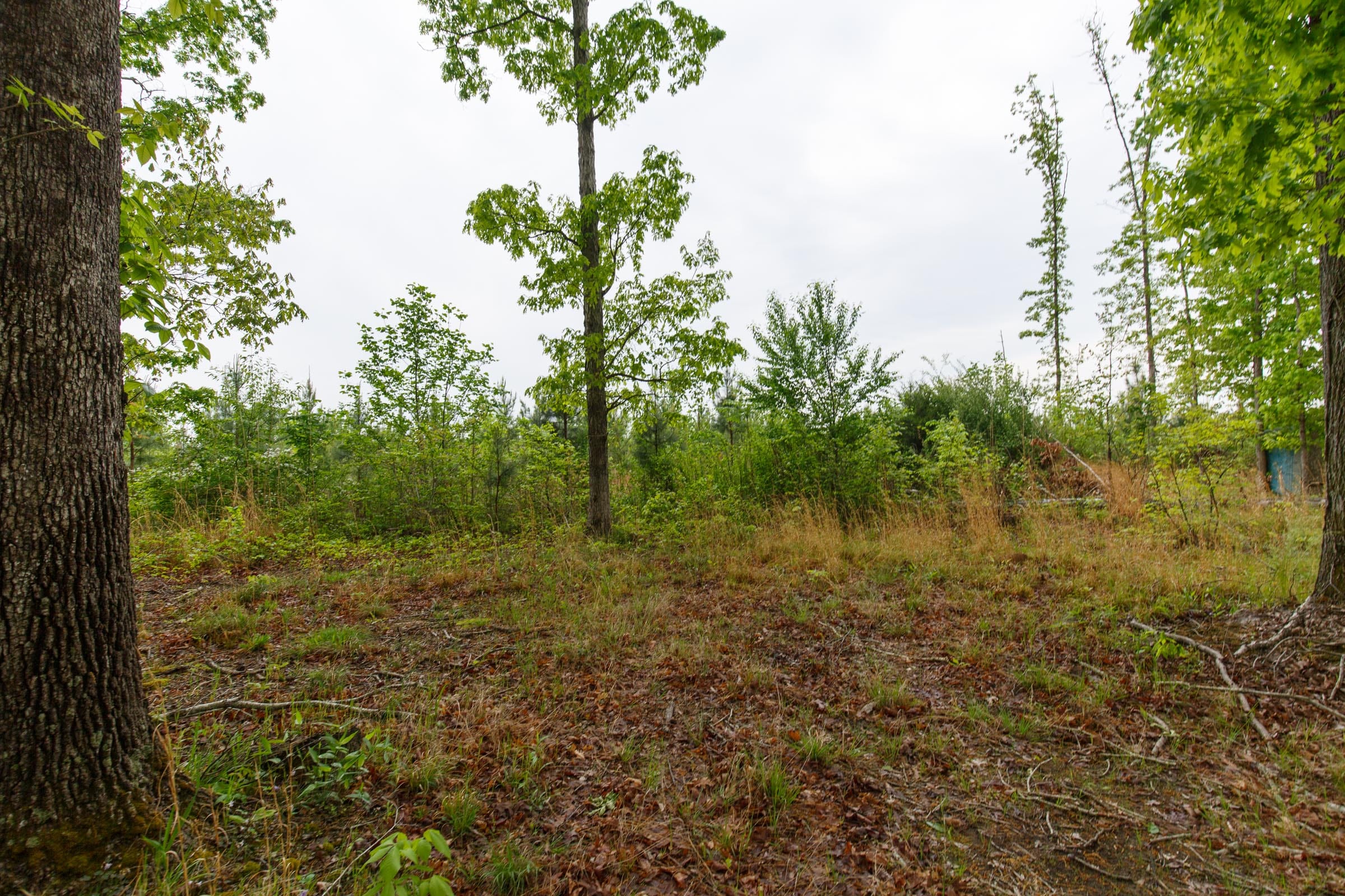 Red Barn Ranch Tract 12 photo 2