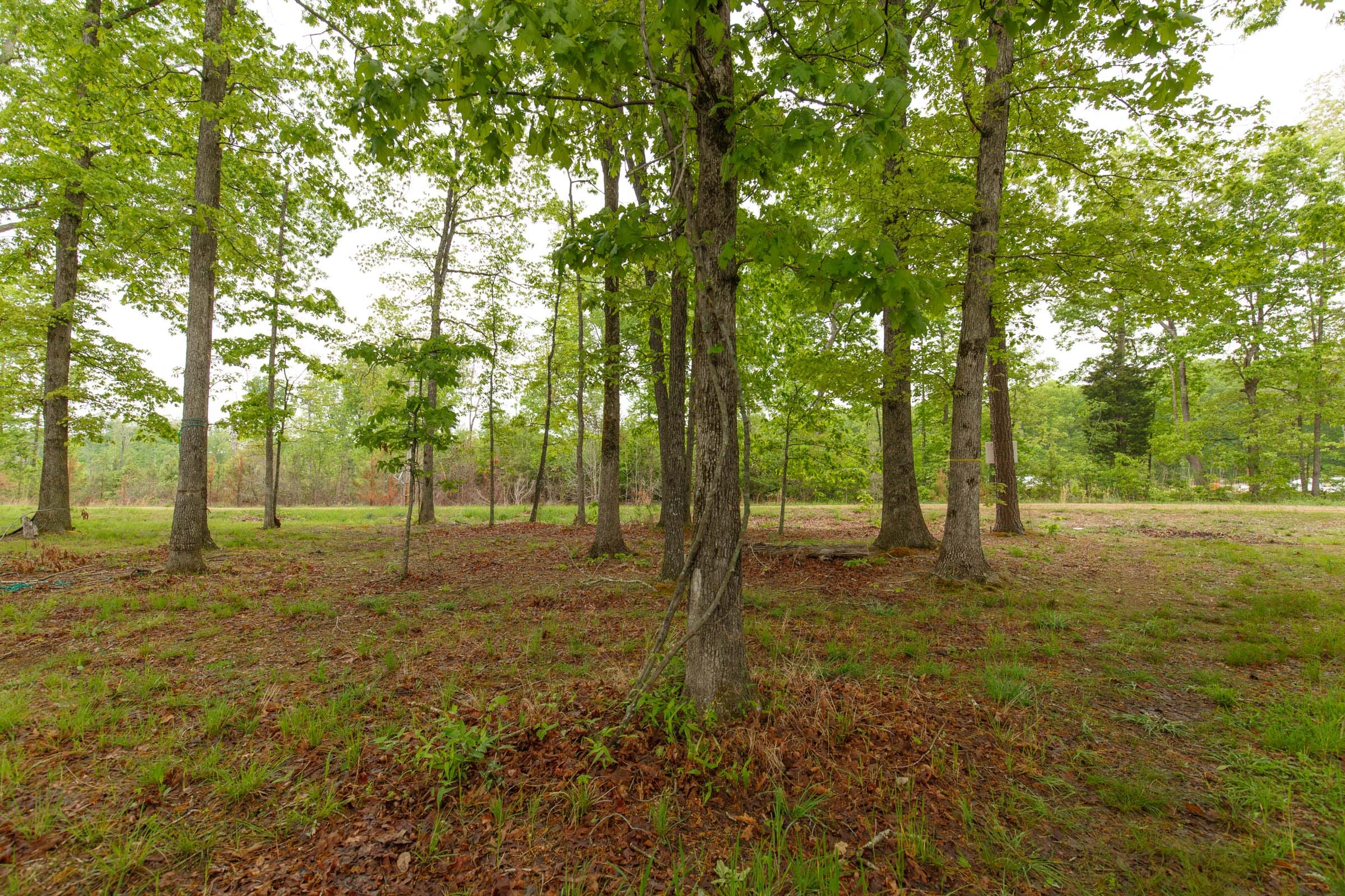 Red Barn Ranch Tract 12 photo 4