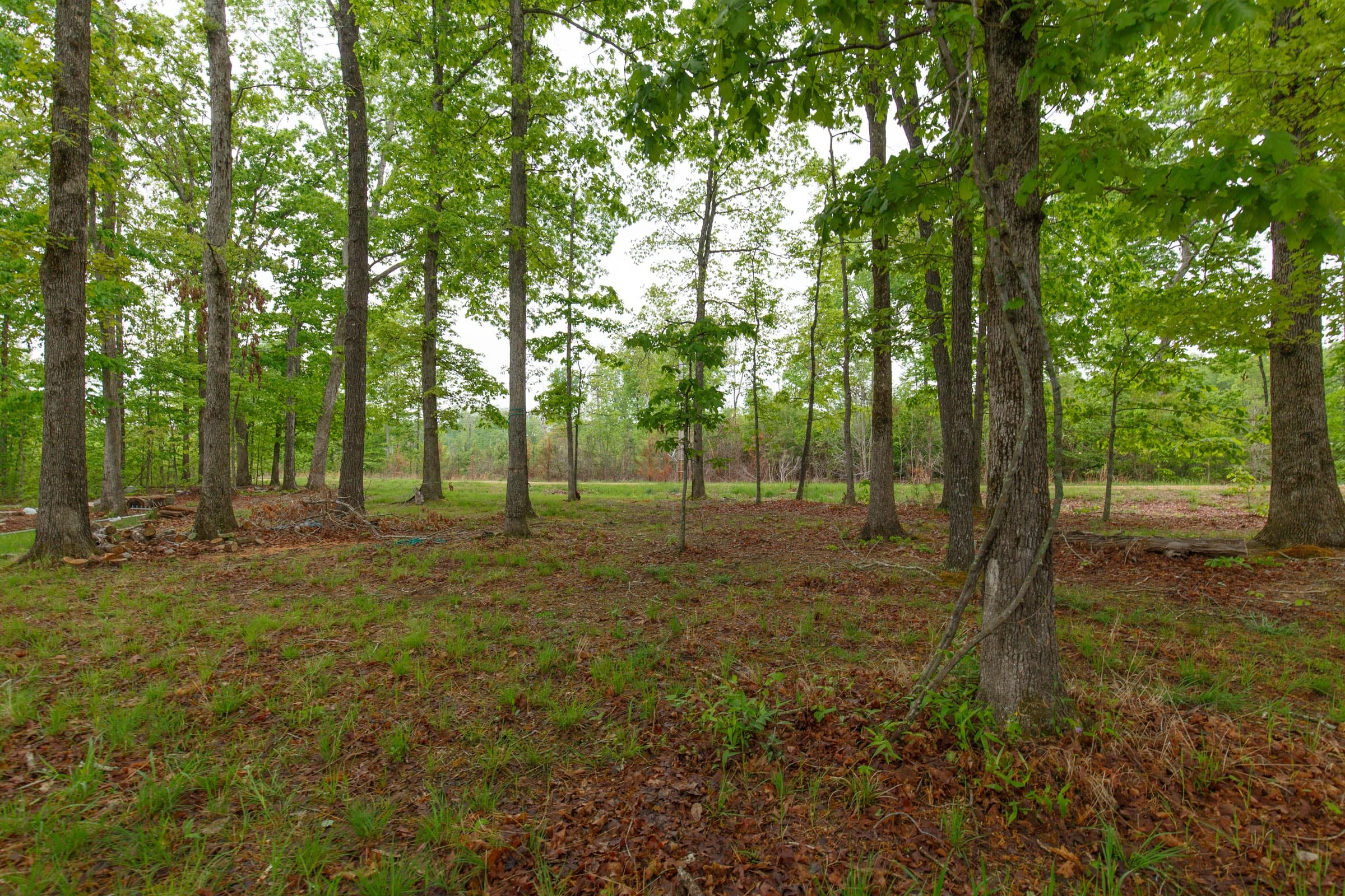 Red Barn Ranch Tract 12 photo 7