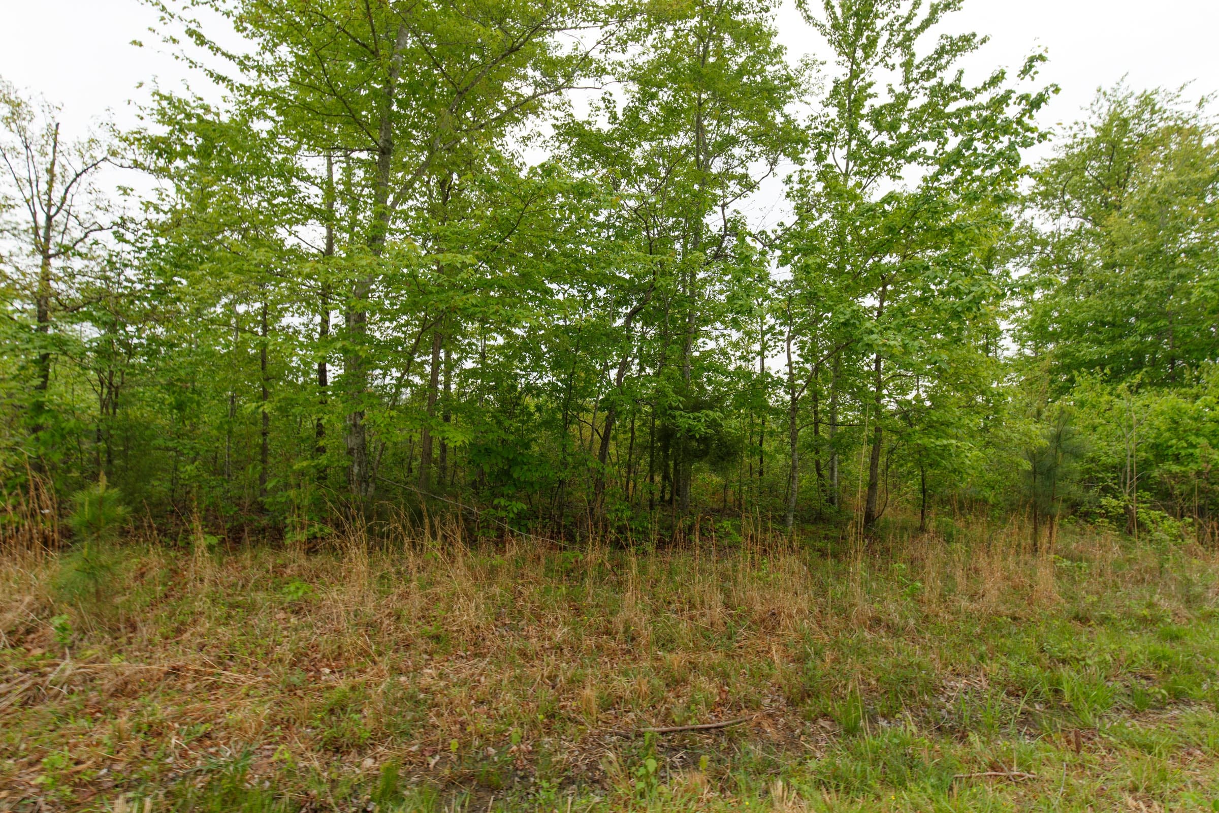 Red Barn Ranch Tract 12 photo 9