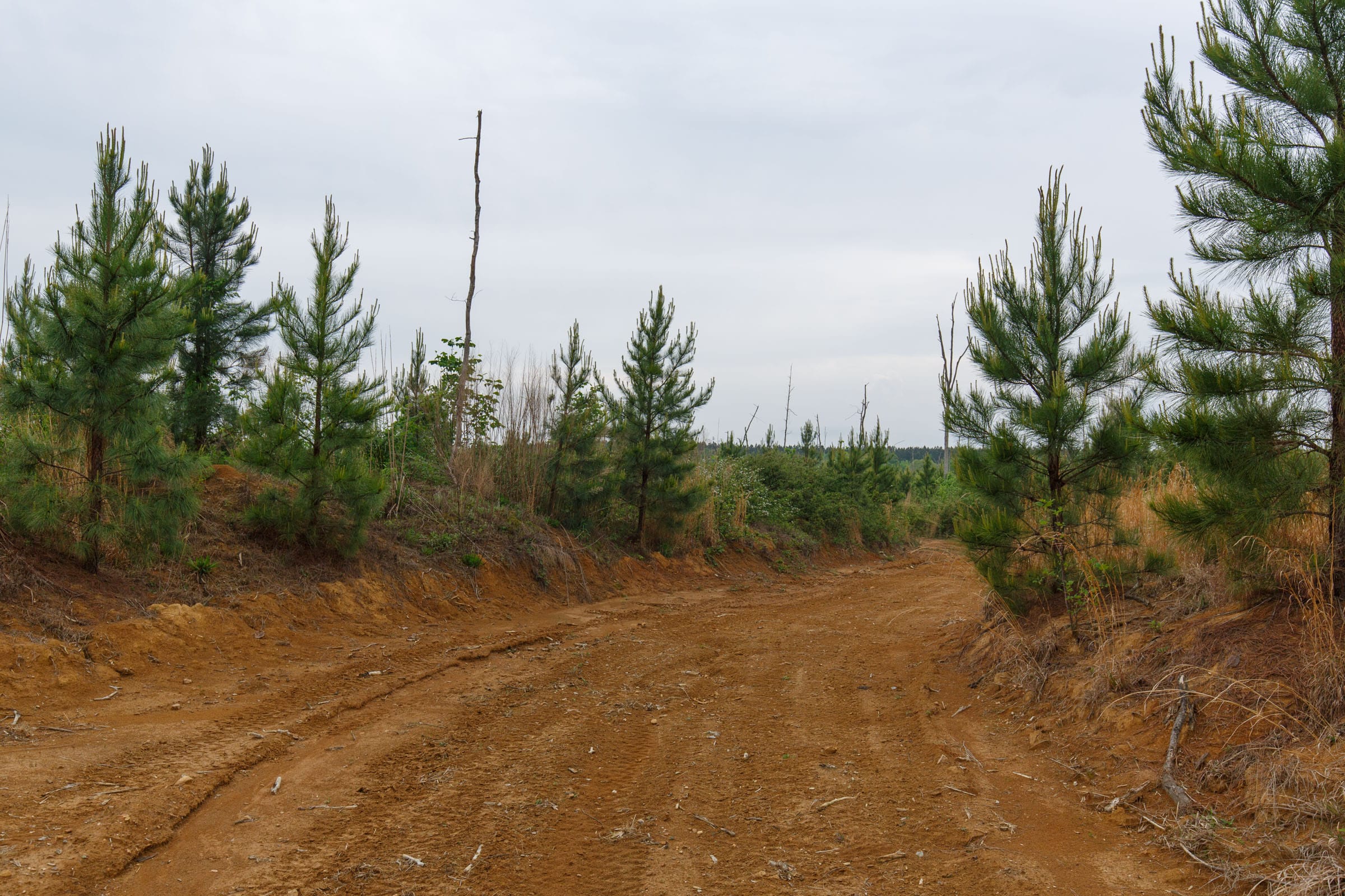 Red Barn Ranch Tract 12 photo 8