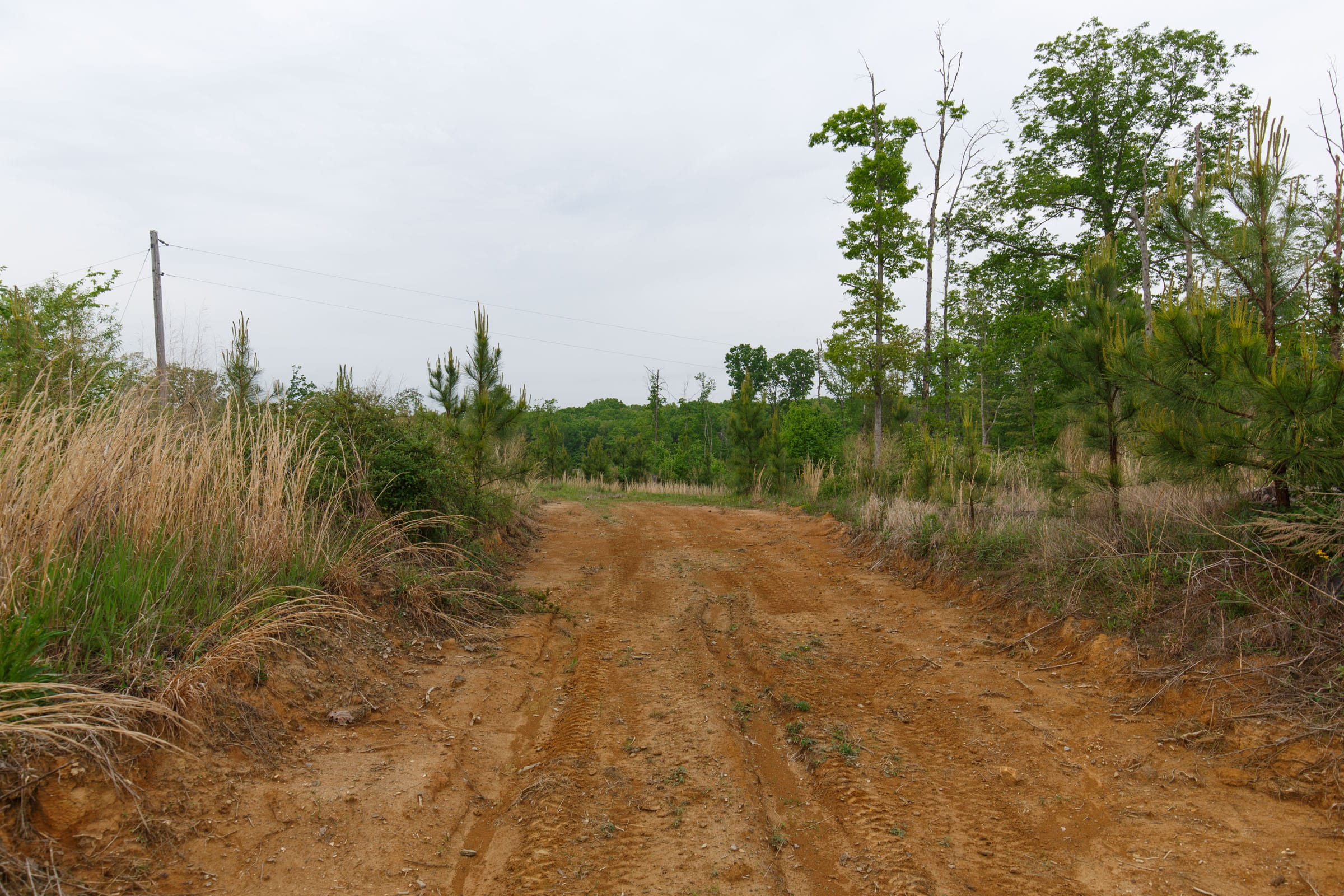 Red Barn Ranch Tract 12 photo 11