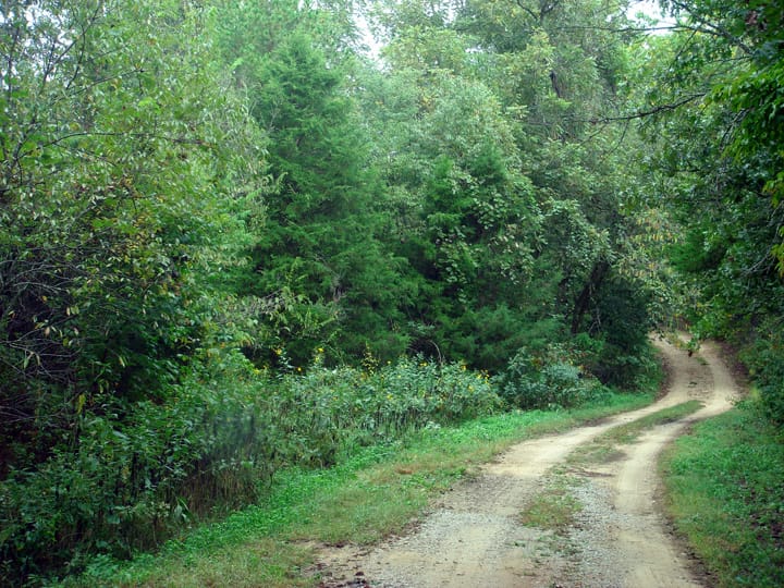 Ranches Of Montauk Park Tract 4 photo 4