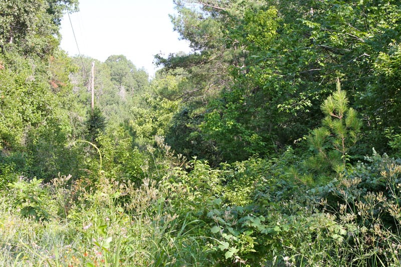 Tahitian Village Tract 668 photo 3
