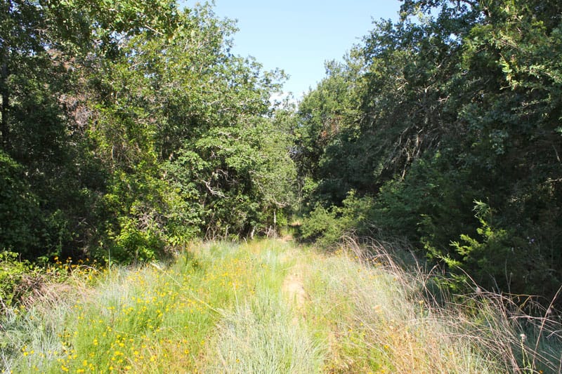 Tahitian Village Tract 668 photo 5