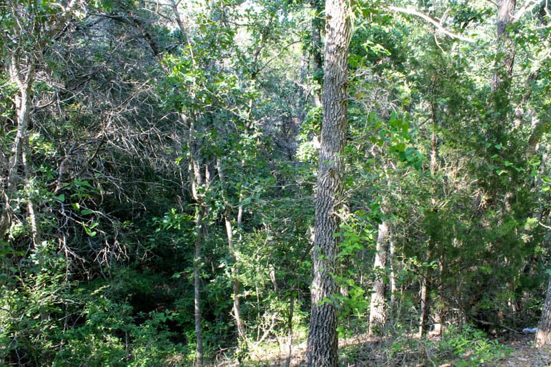Tahitian Village Tract 668 photo 6