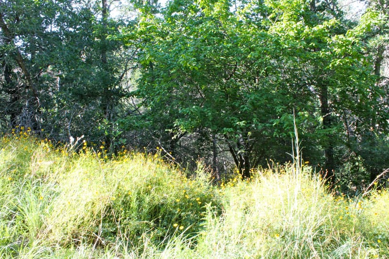 Tahitian Village Tract 668 photo 7