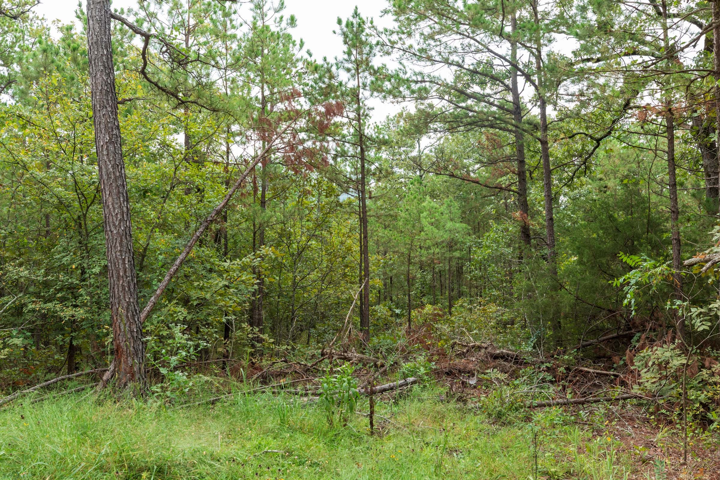 Stone Bridge Phase V Tract 421 photo 10