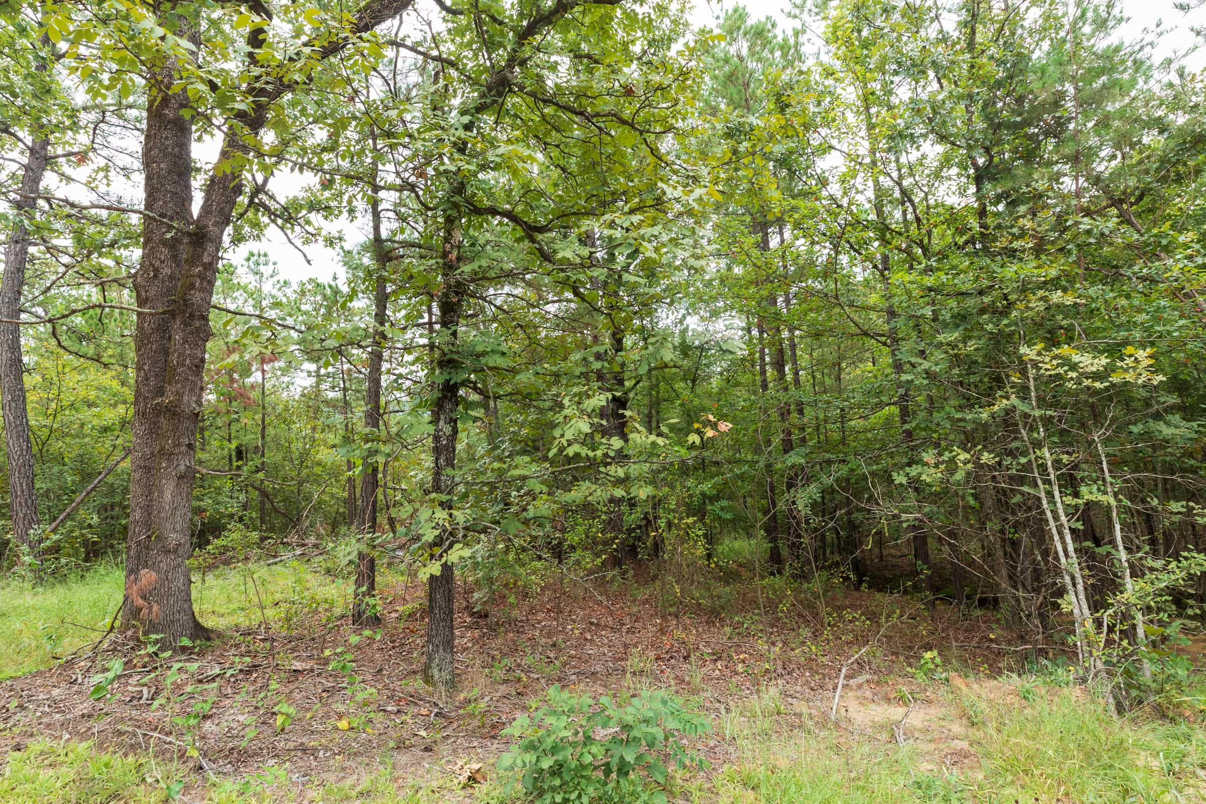 Stone Bridge Phase V Tract 421 photo 13