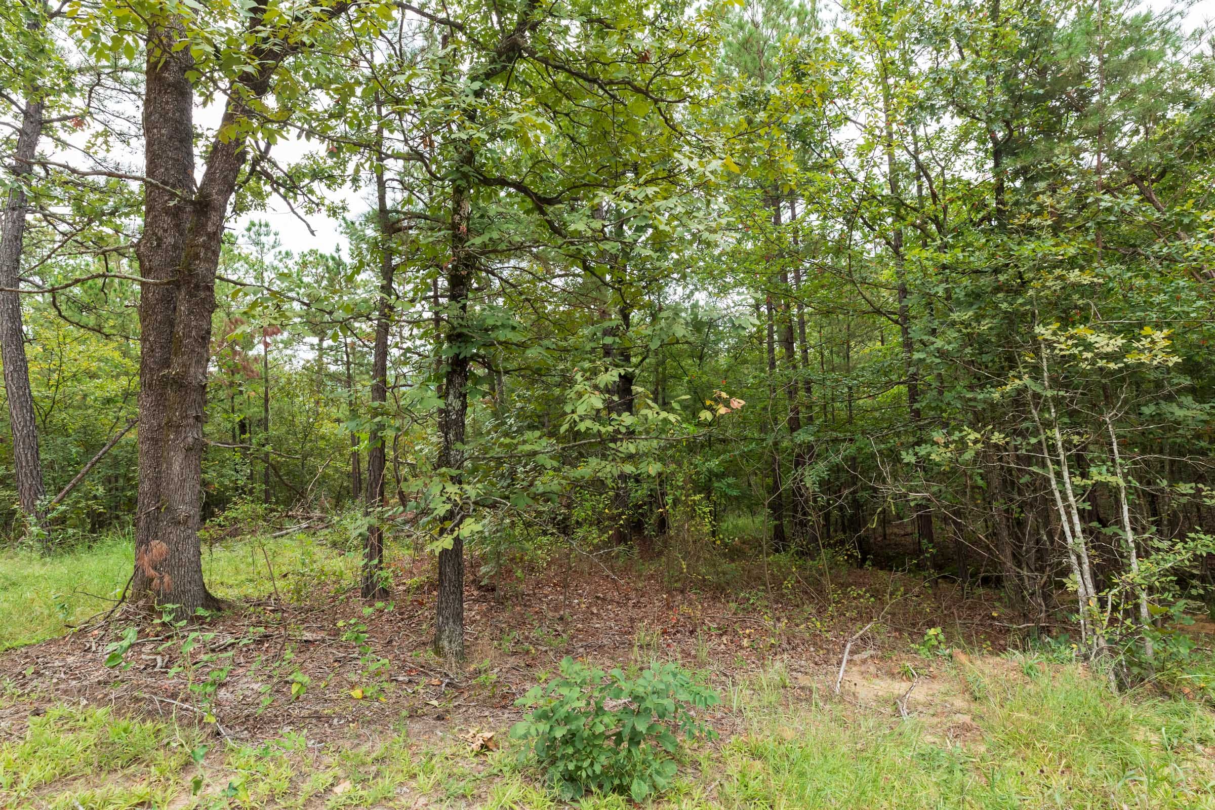 Stone Bridge Phase V Tract 421 photo 14