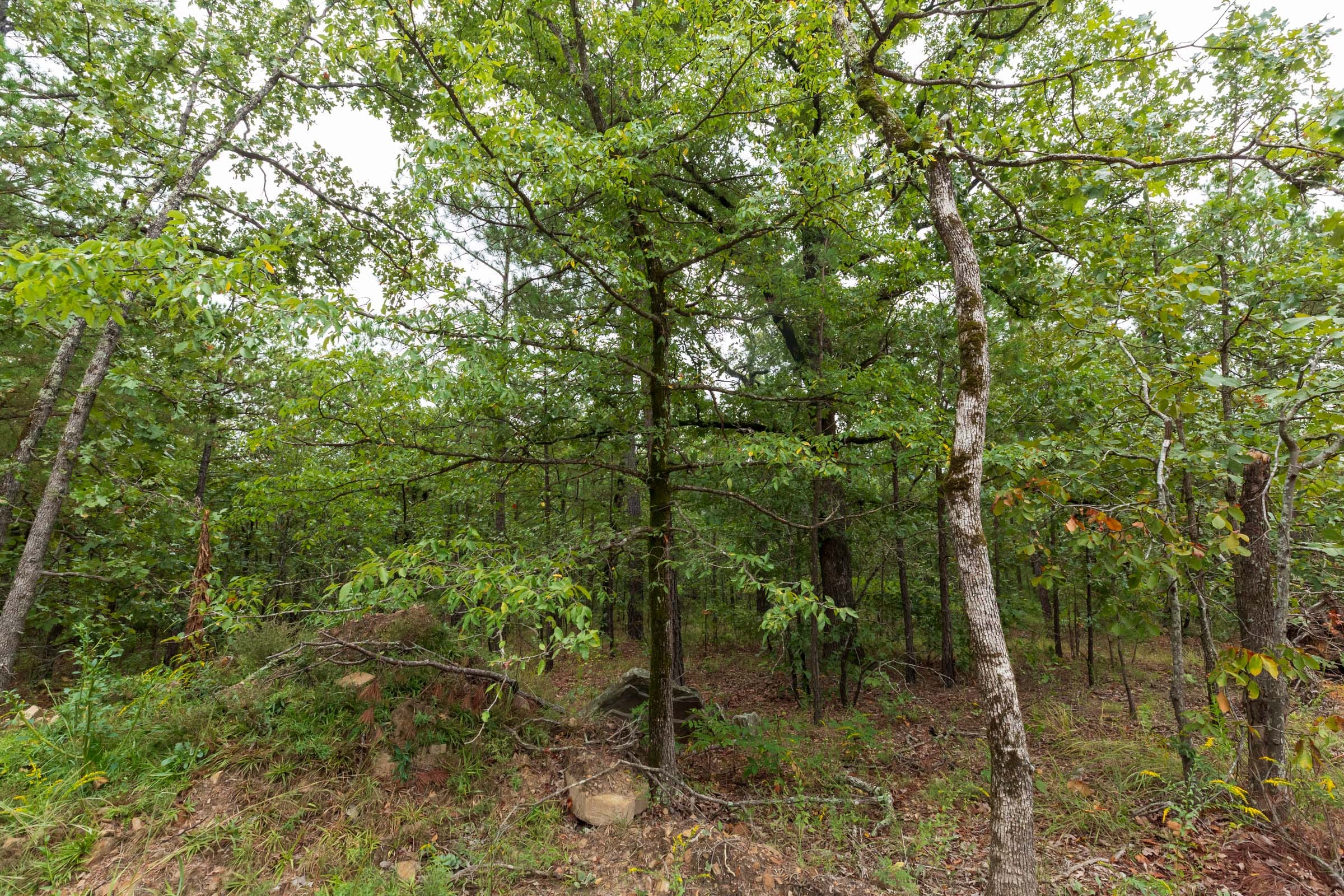 Stone Bridge Phase V Tract 421 photo 19