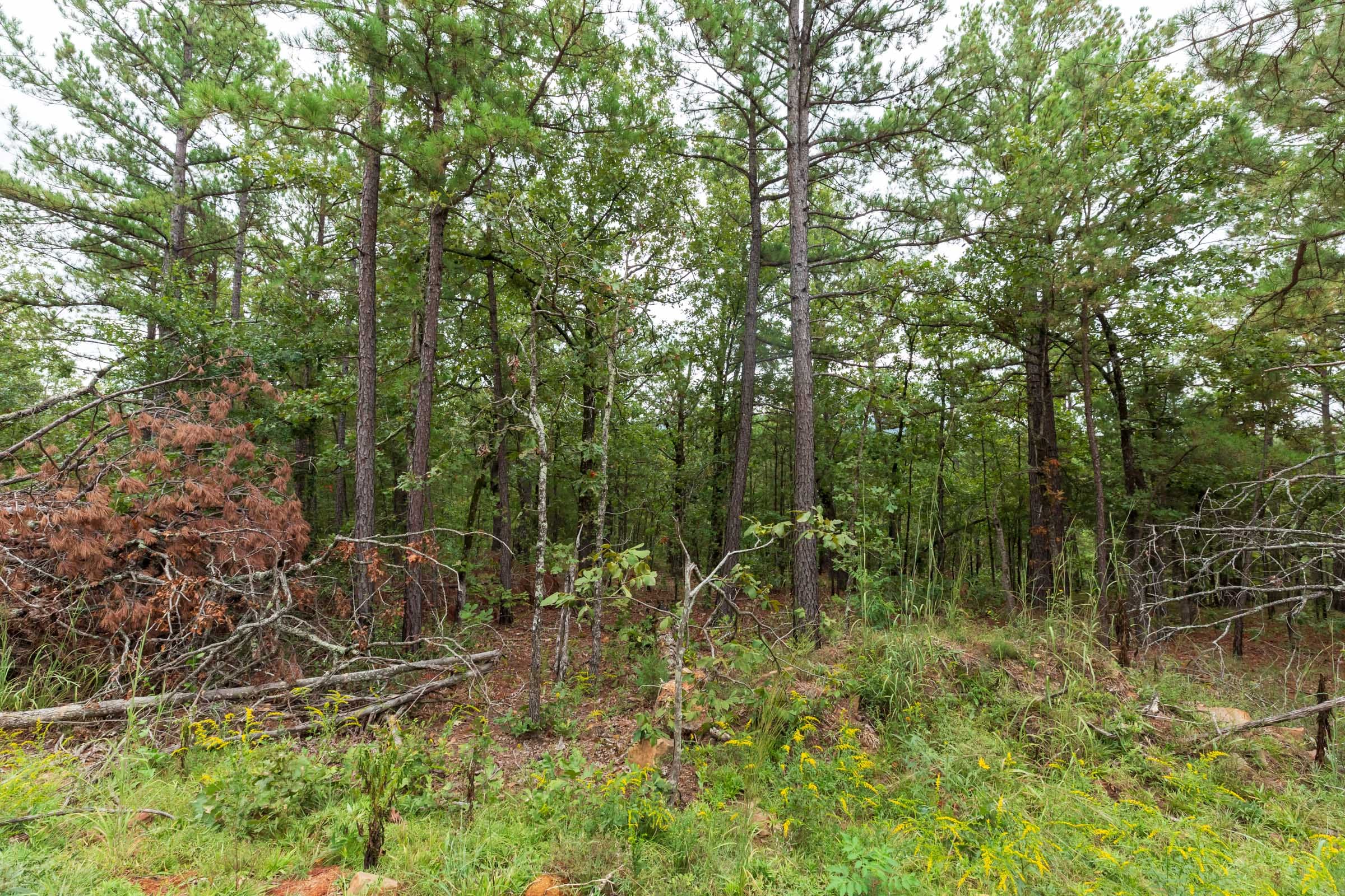 Stone Bridge Phase V Tract 421 photo 20
