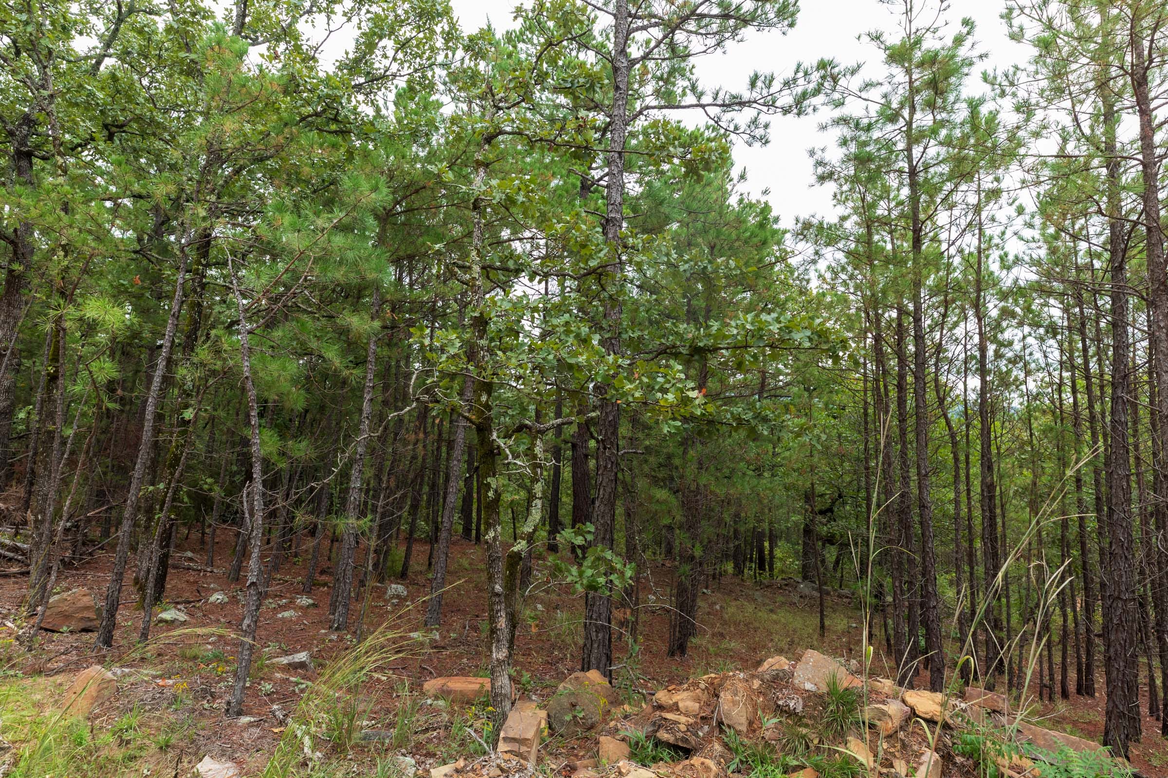Stone Bridge Phase V Tract 421 photo 22