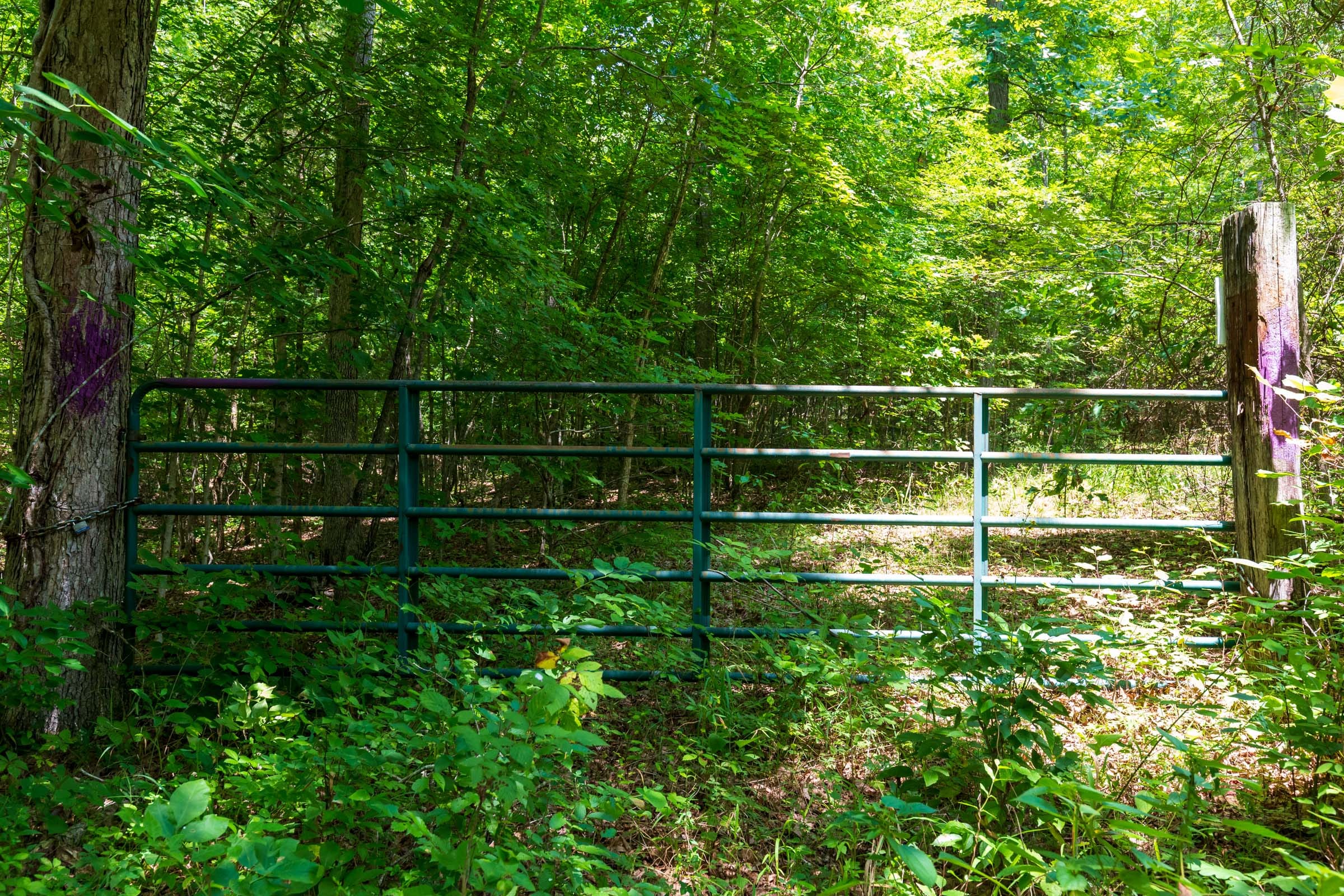 Cypress Ridge Tract 5 photo 2