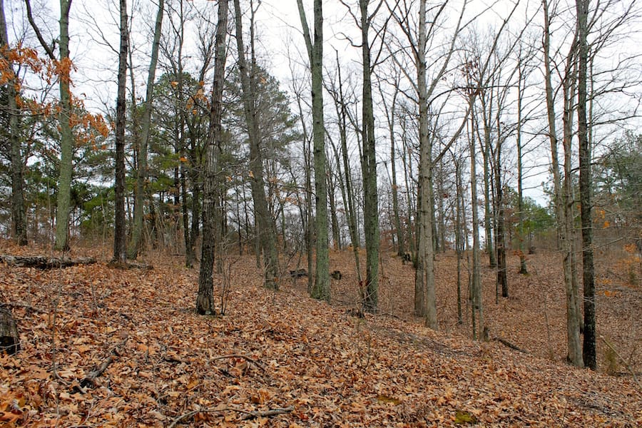 The Tennessean Tract 35 photo 4
