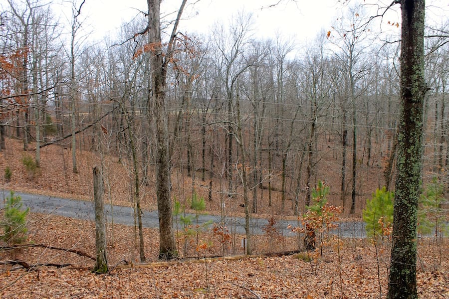 The Tennessean Tract 35 photo 5