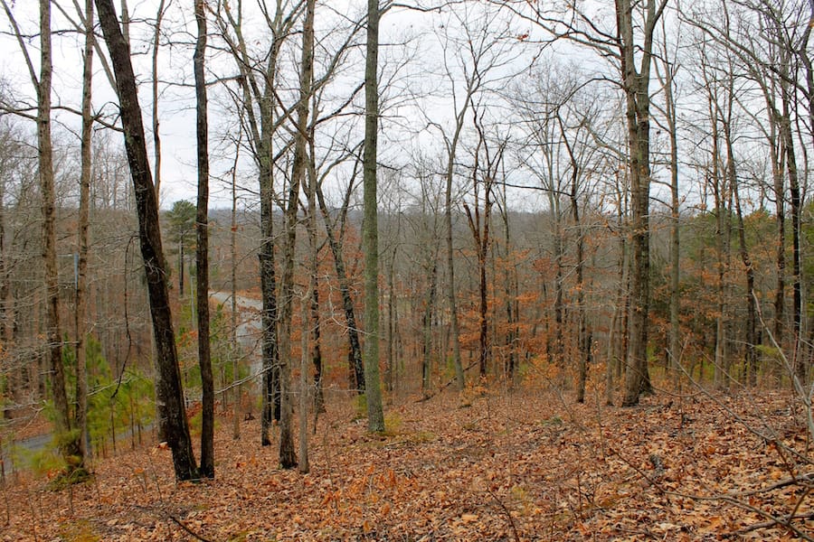The Tennessean Tract 35 photo 6