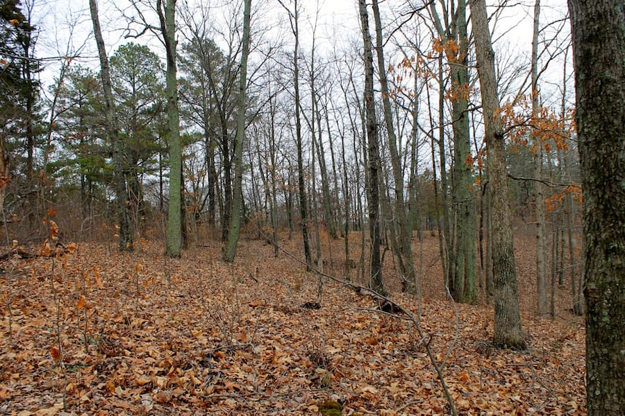 The Tennessean Tract 35 photo 7