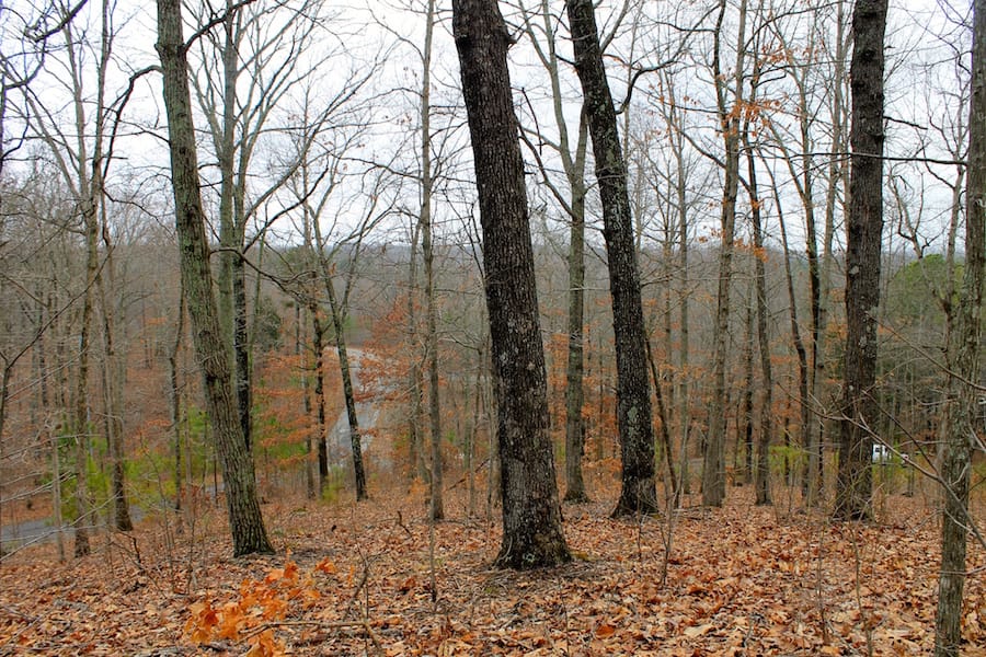 The Tennessean Tract 35 photo 9