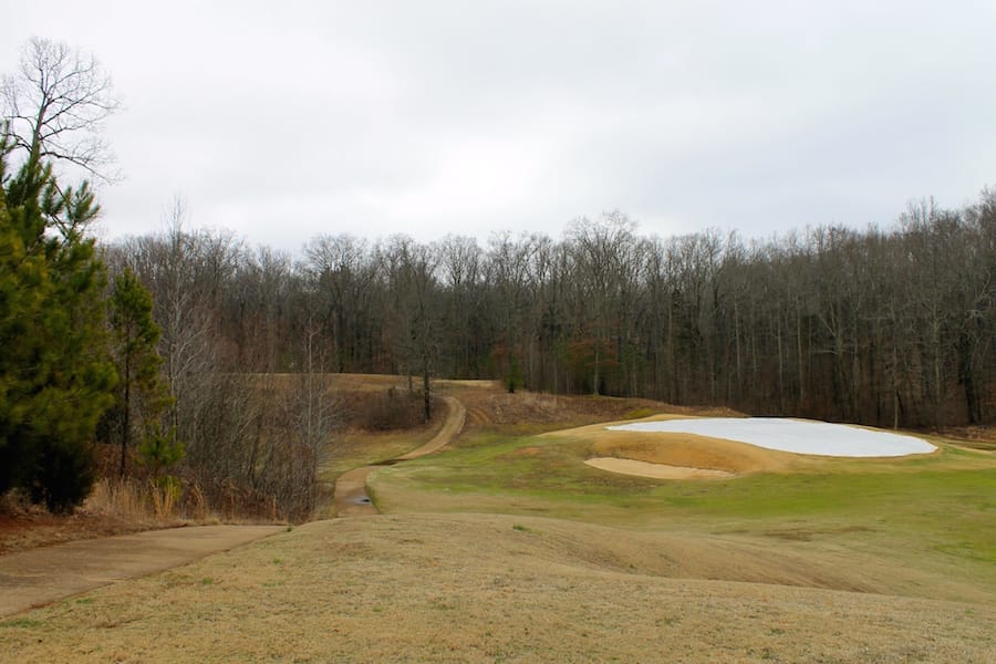The Tennessean Tract 35 photo 14