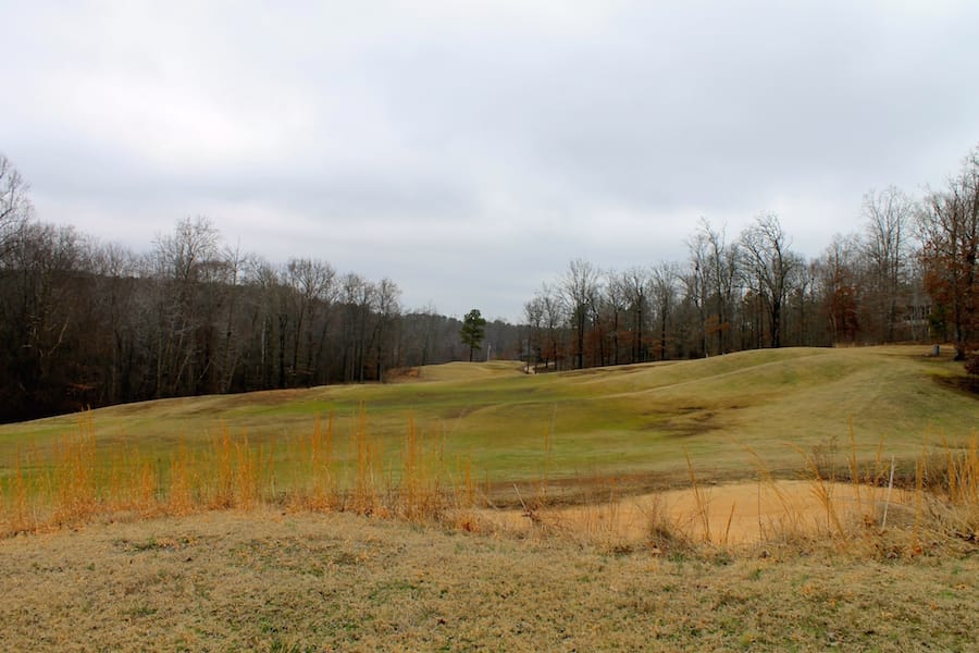 The Tennessean Tract 35 photo 15
