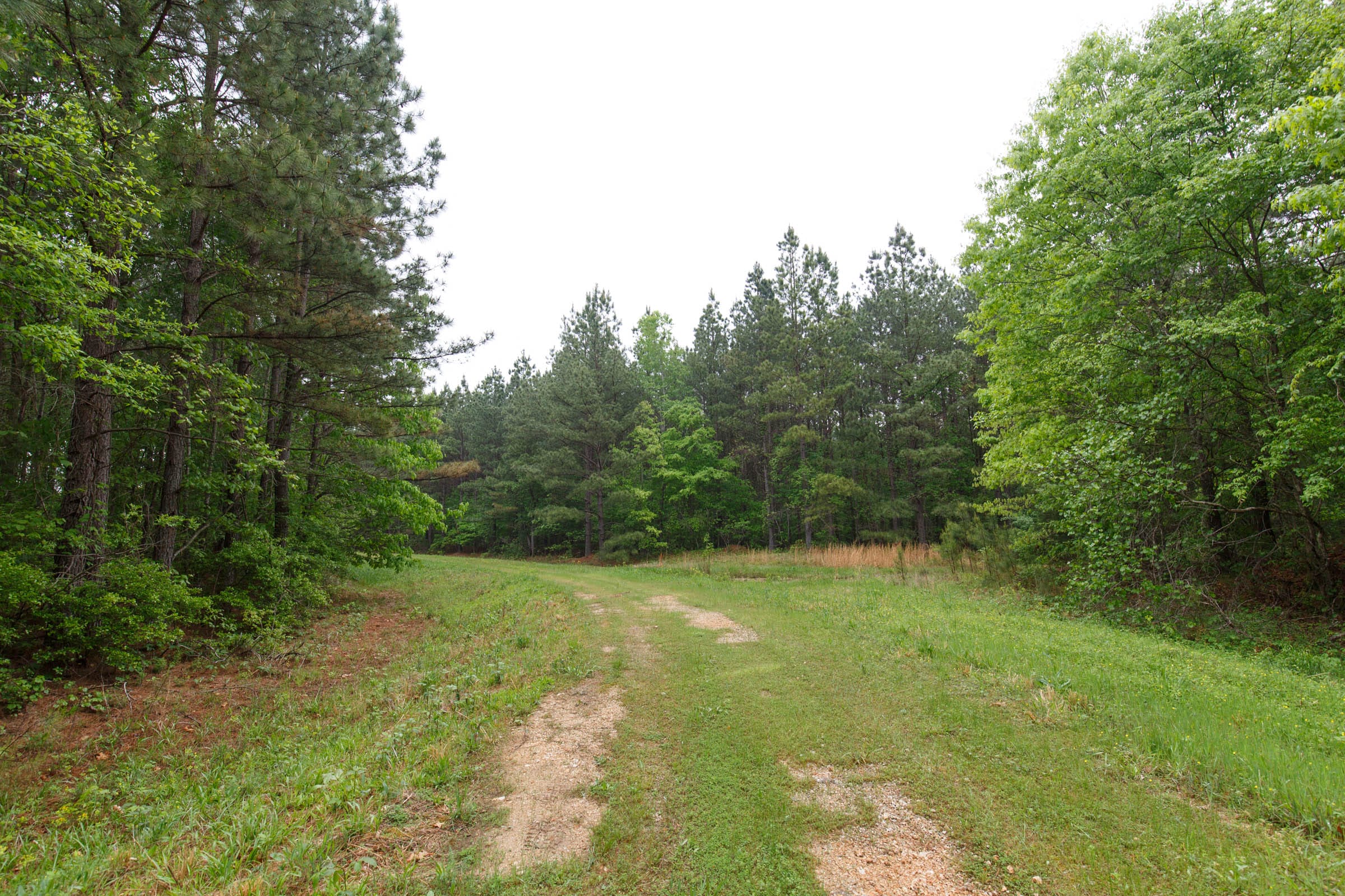 Red Barn Ranch Tract 20 photo 1