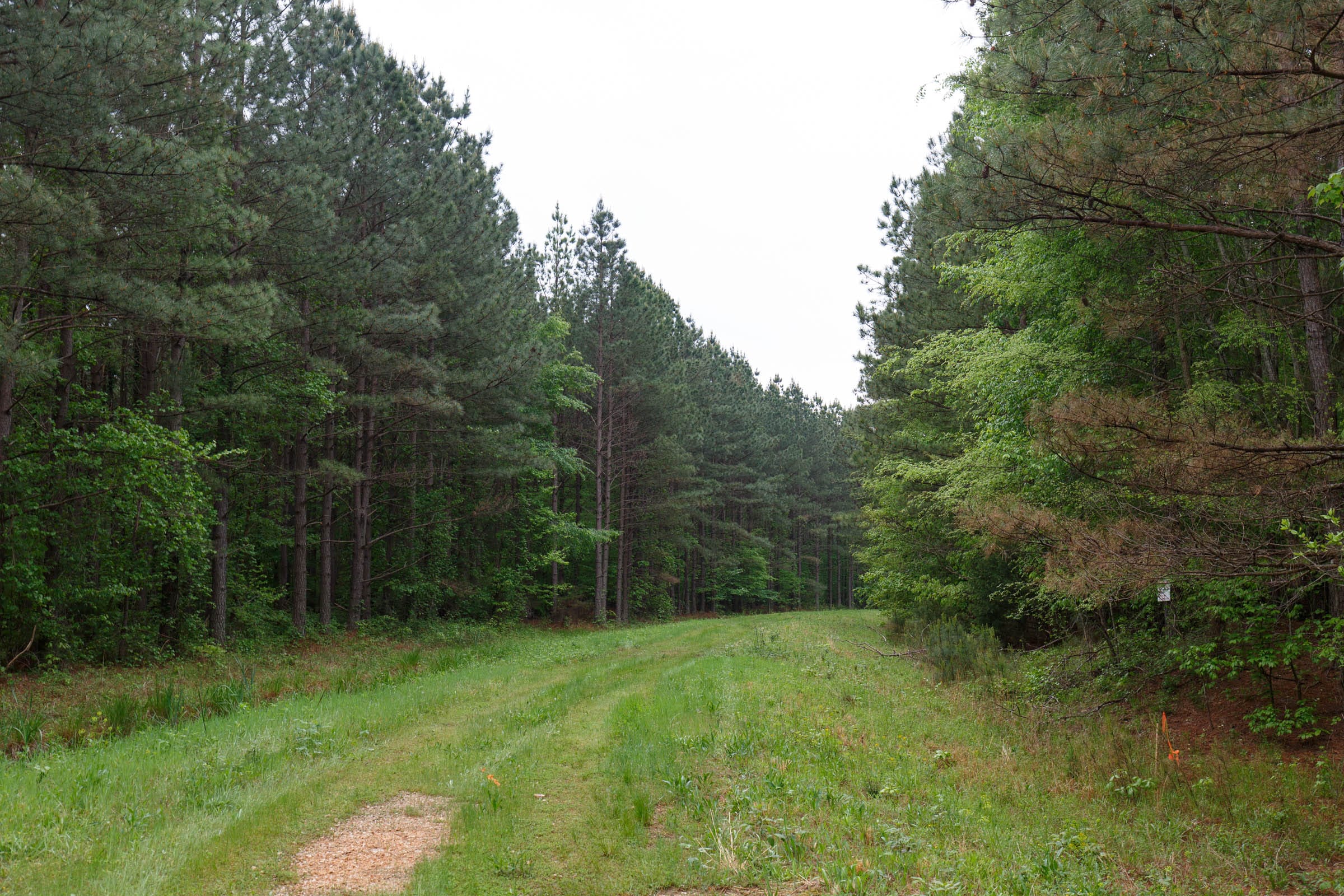 Red Barn Ranch Tract 20 photo 5
