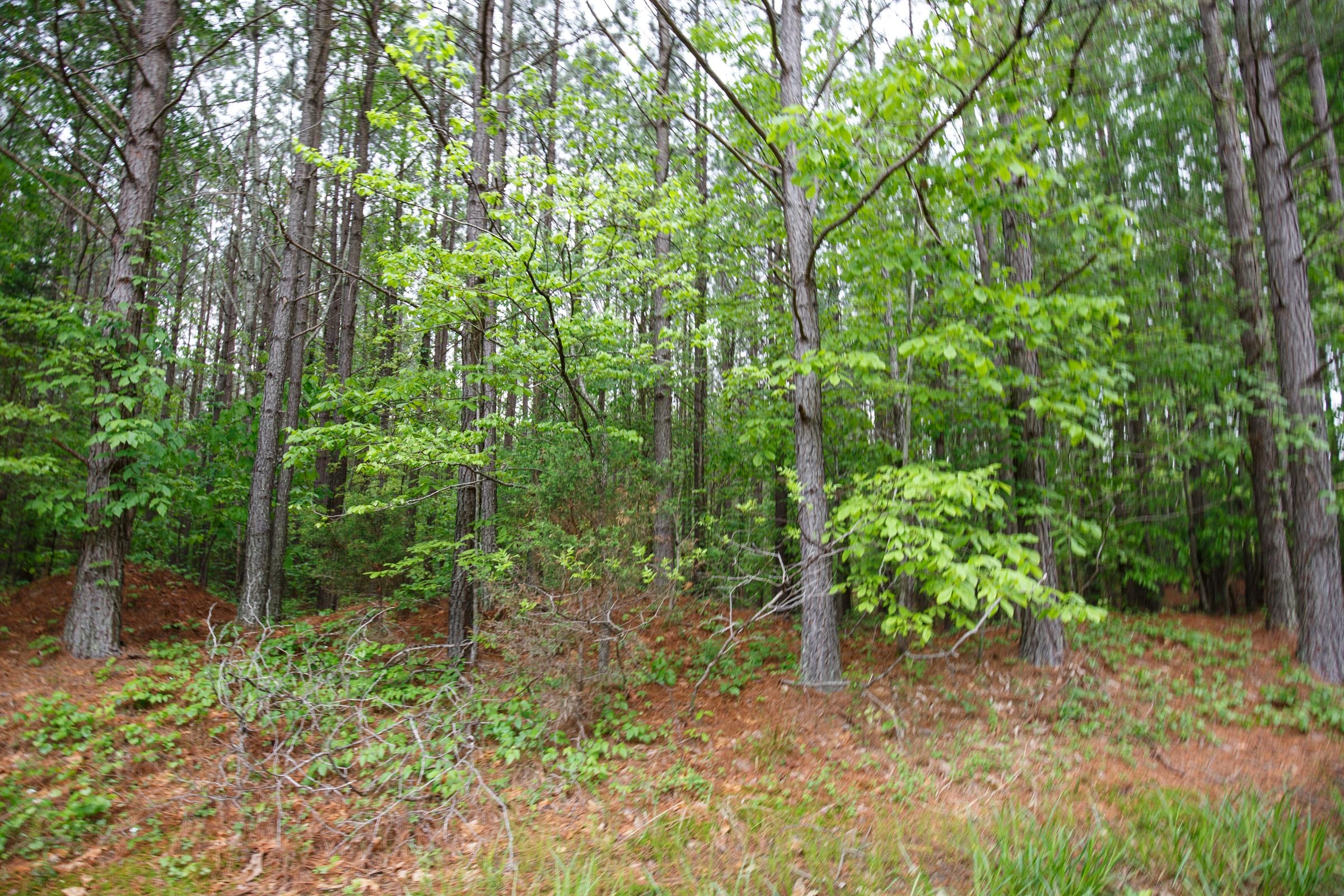 Red Barn Ranch Tract 20 photo 2