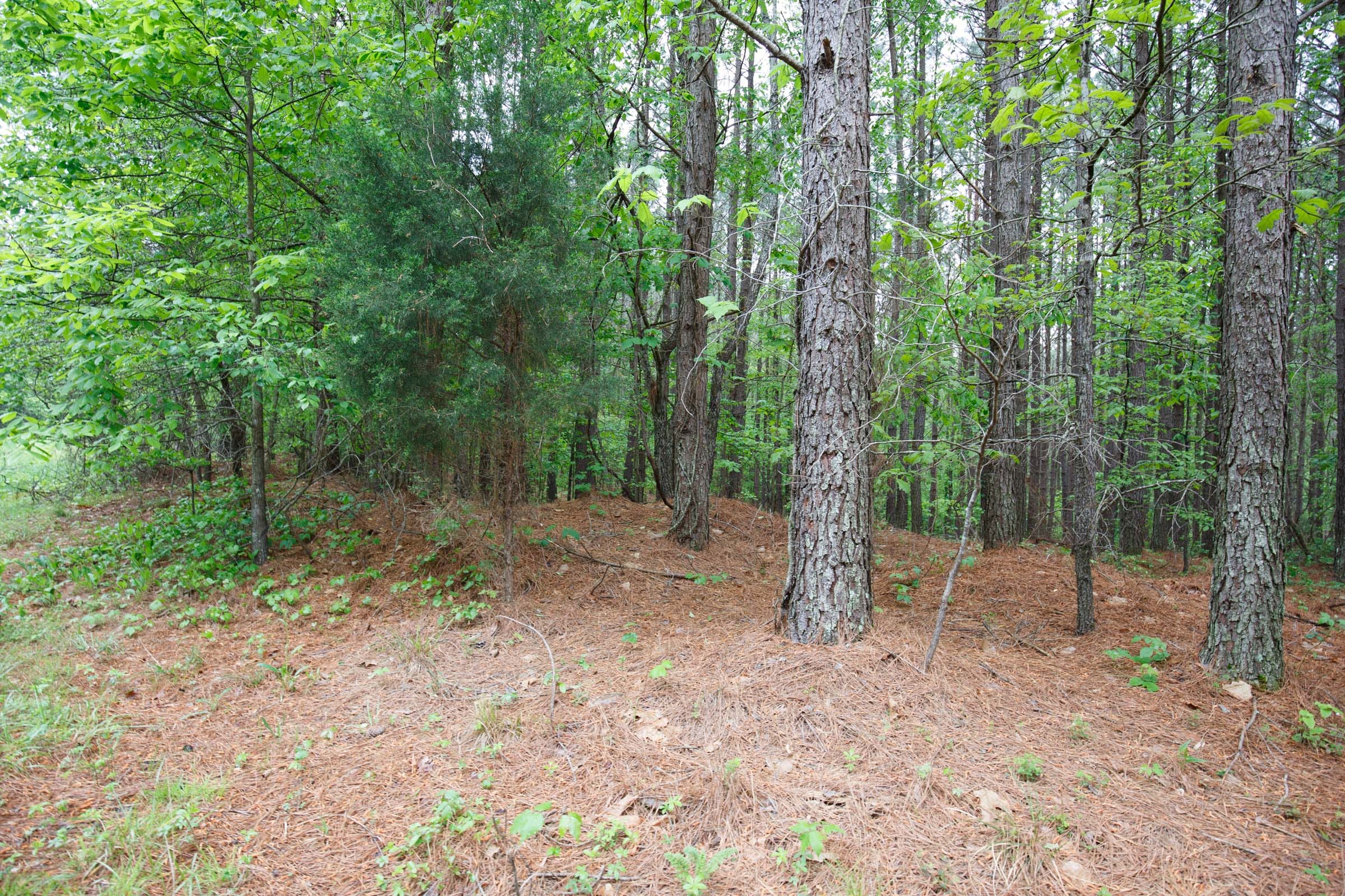 Red Barn Ranch Tract 20 photo 6