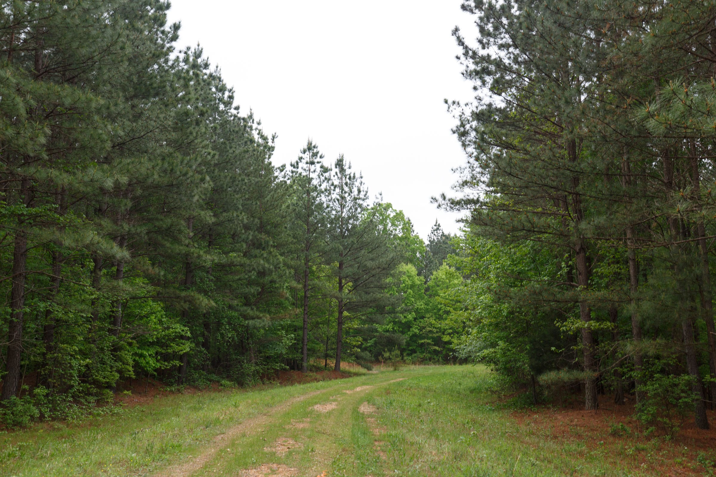 Red Barn Ranch Tract 20 photo 3
