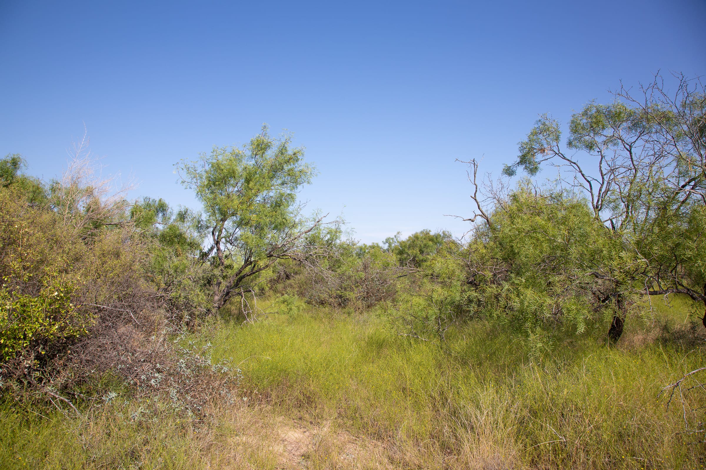 Hunter’s Ranch Tract 19 photo 2