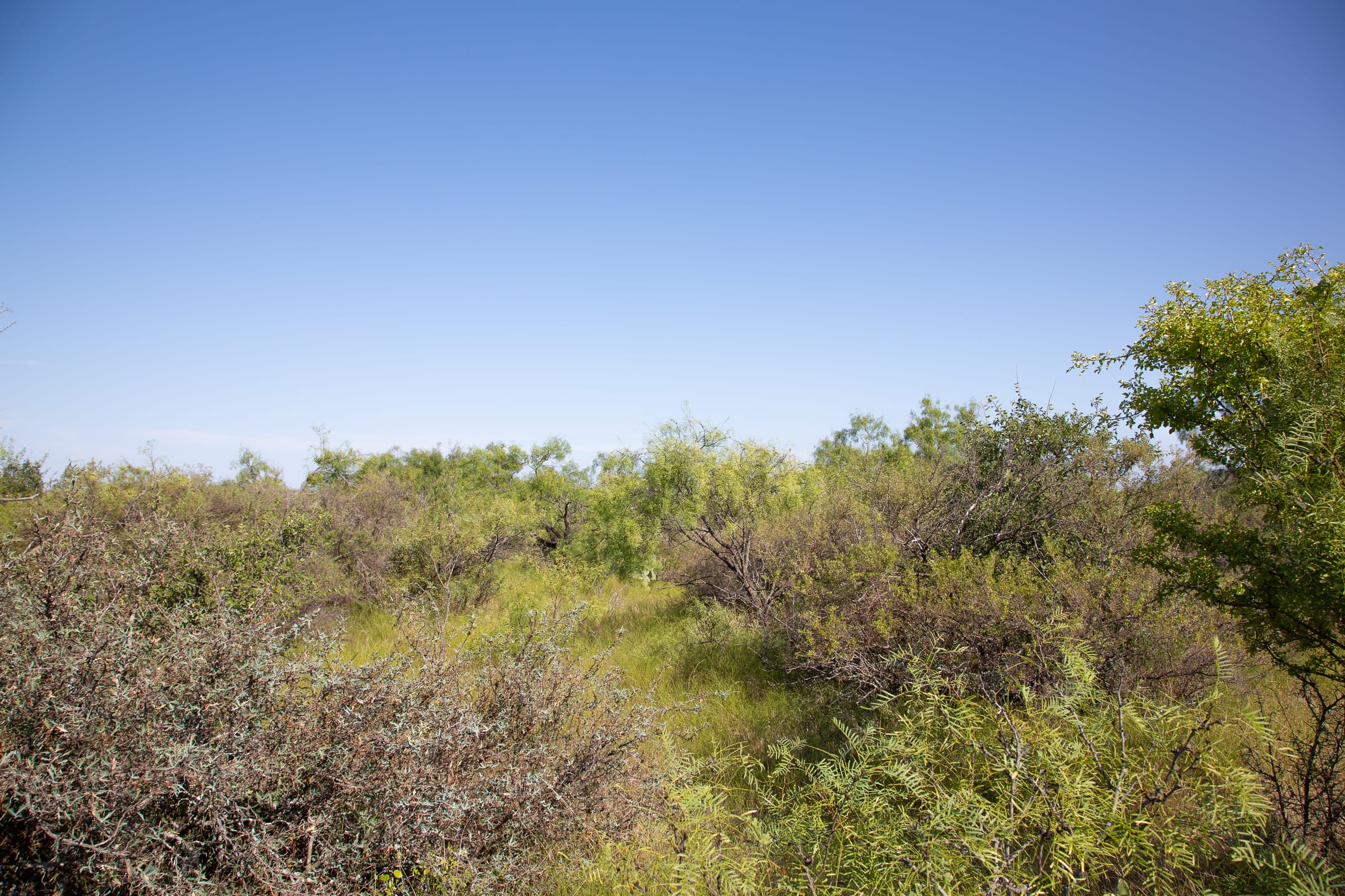 Hunter’s Ranch Tract 19 photo 3