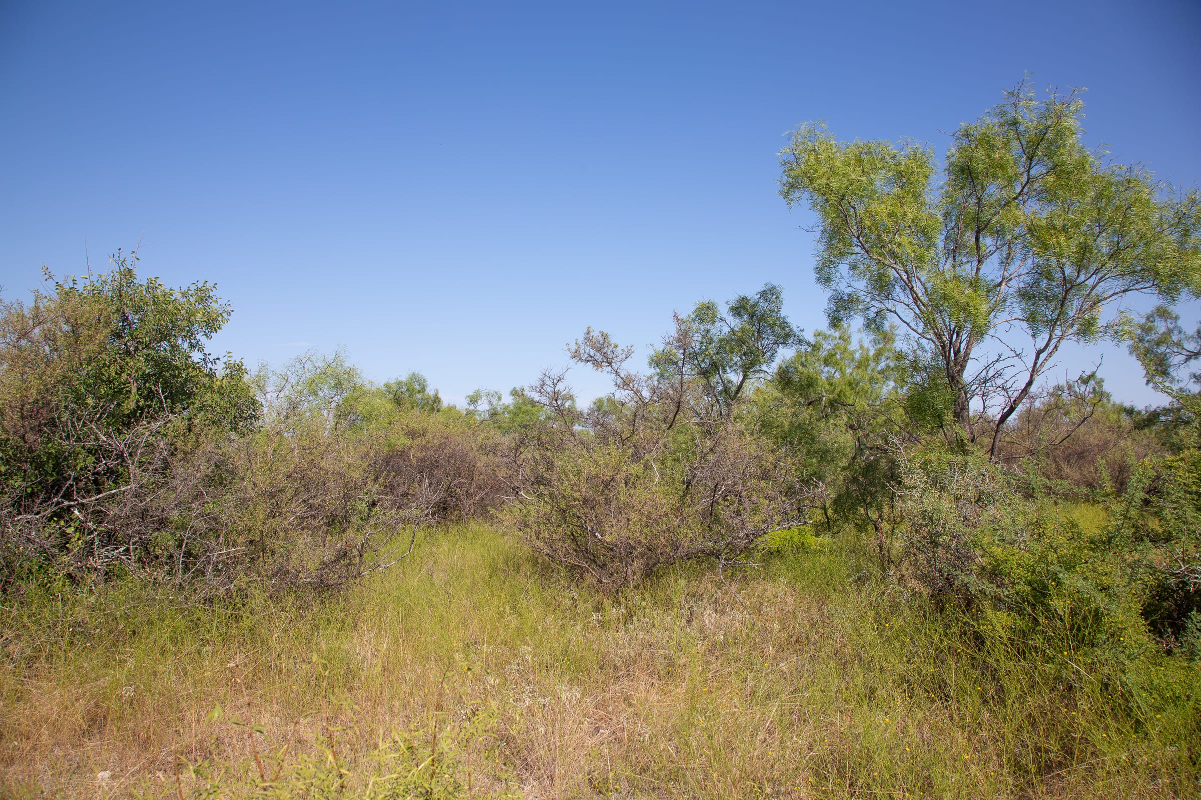 Hunter’s Ranch Tract 19 photo 4