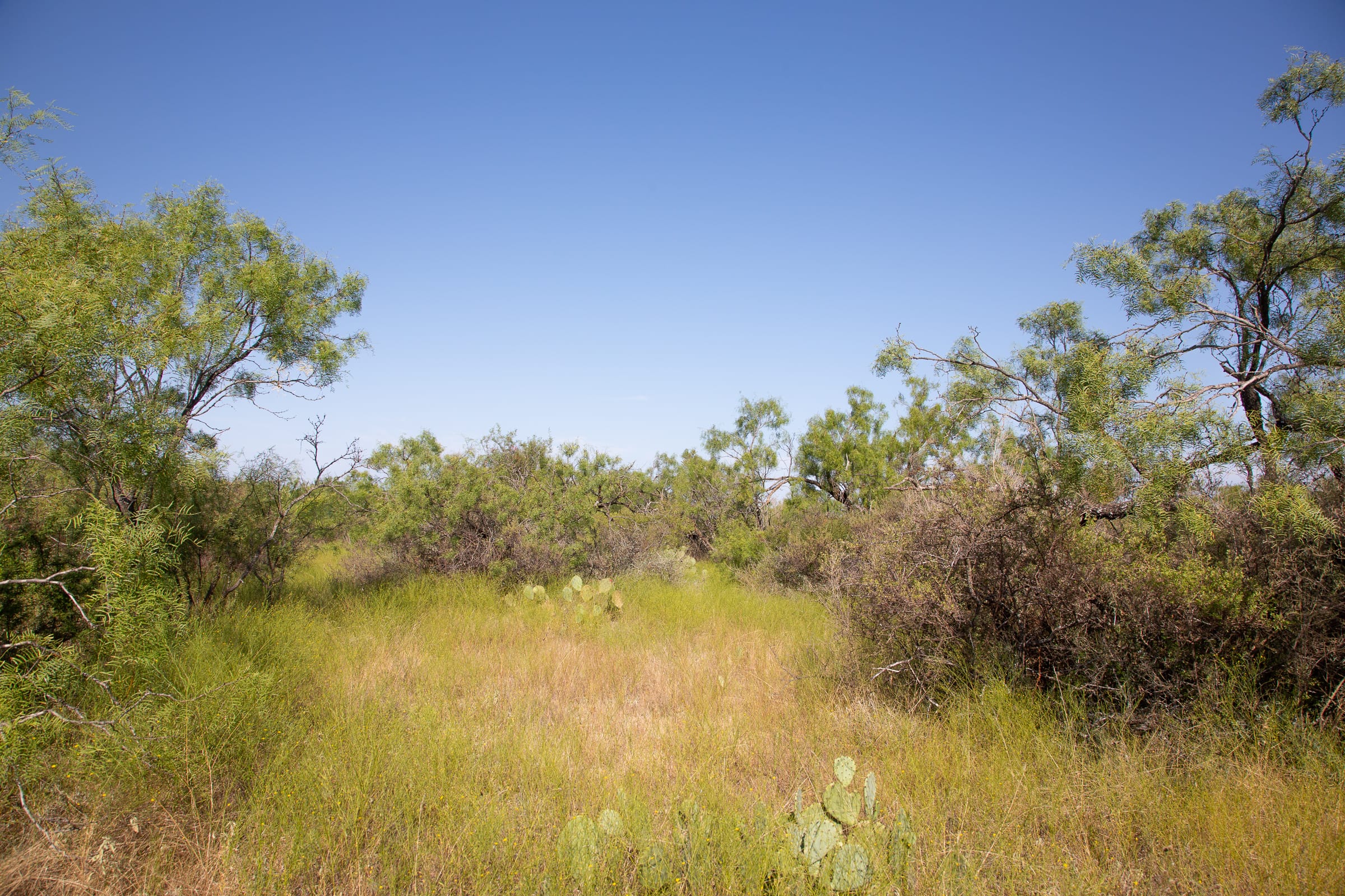 Hunter’s Ranch Tract 19 photo 5