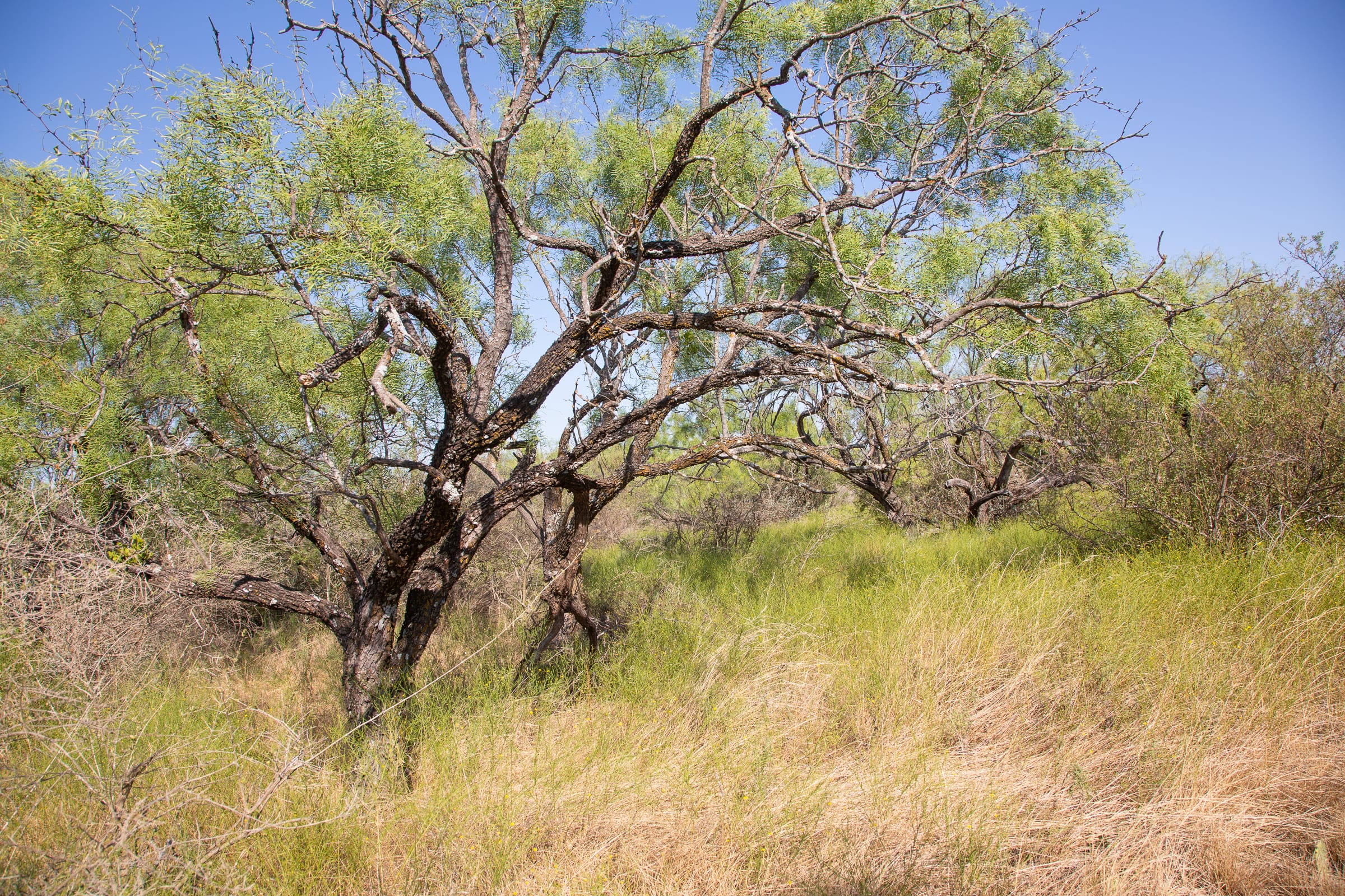 Hunter’s Ranch Tract 19 photo 6