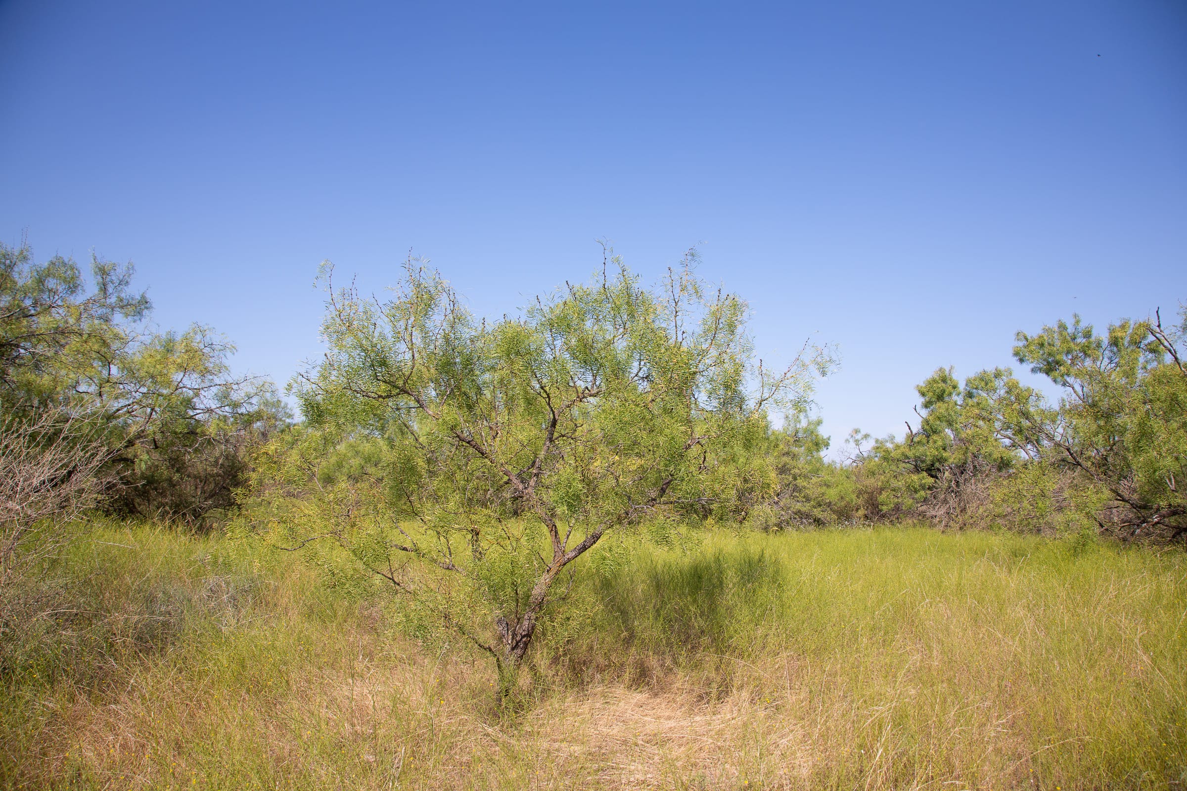 Hunter’s Ranch Tract 19 photo 7