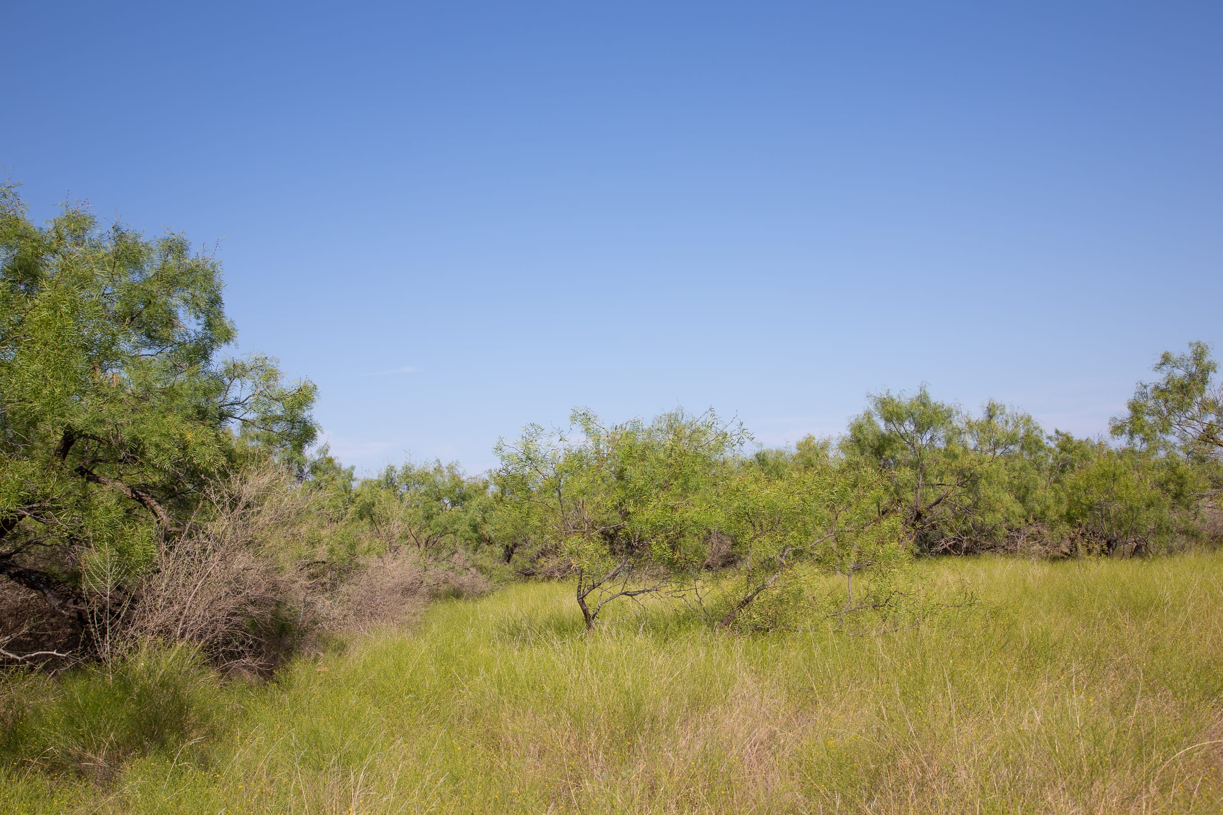 Hunter’s Ranch Tract 19 photo 8