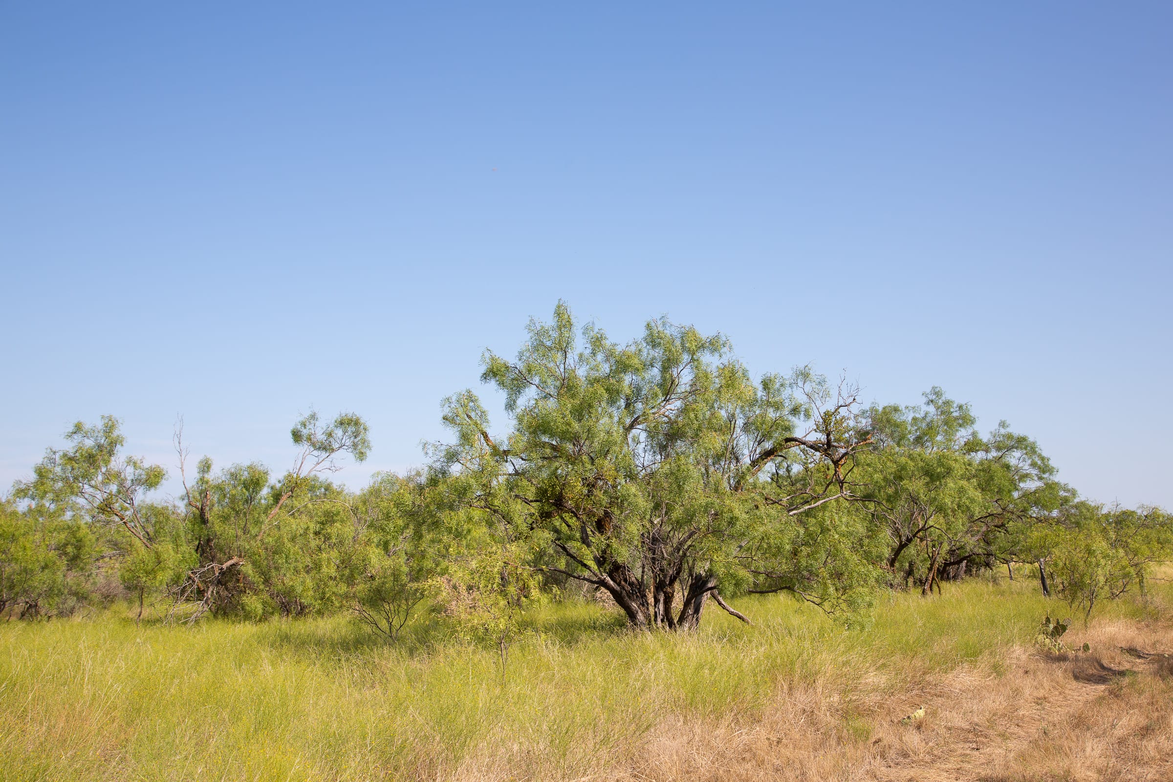 Hunter’s Ranch Tract 19 photo 9