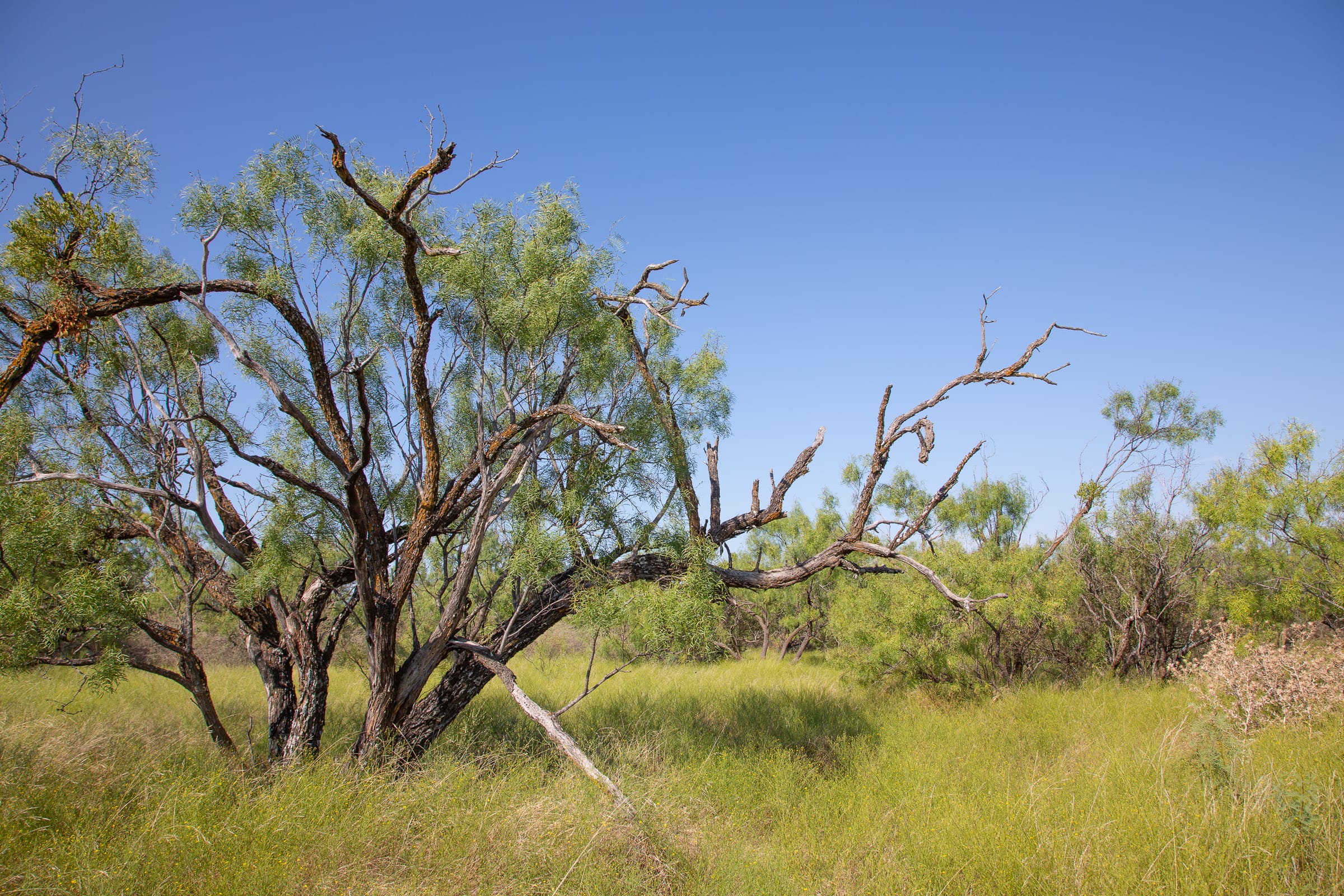 Hunter’s Ranch Tract 19 photo 10