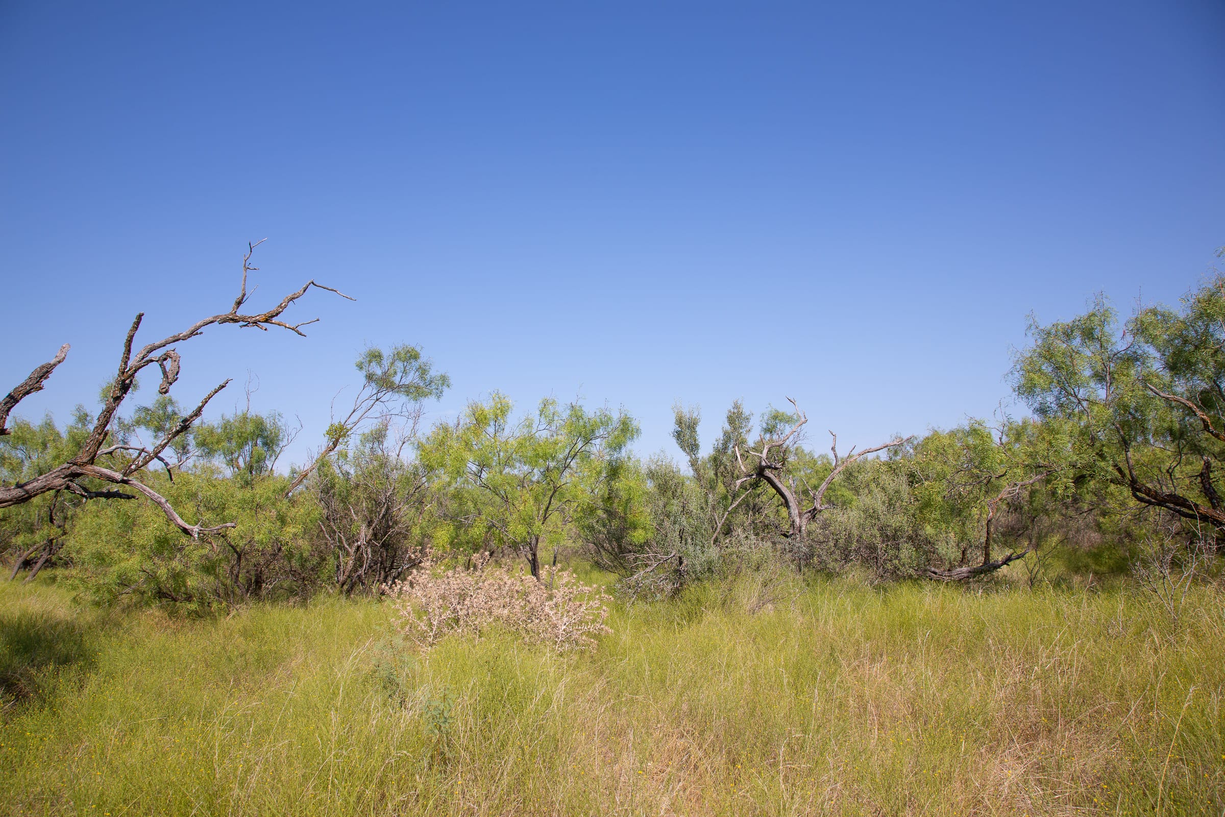 Hunter’s Ranch Tract 19 photo 11