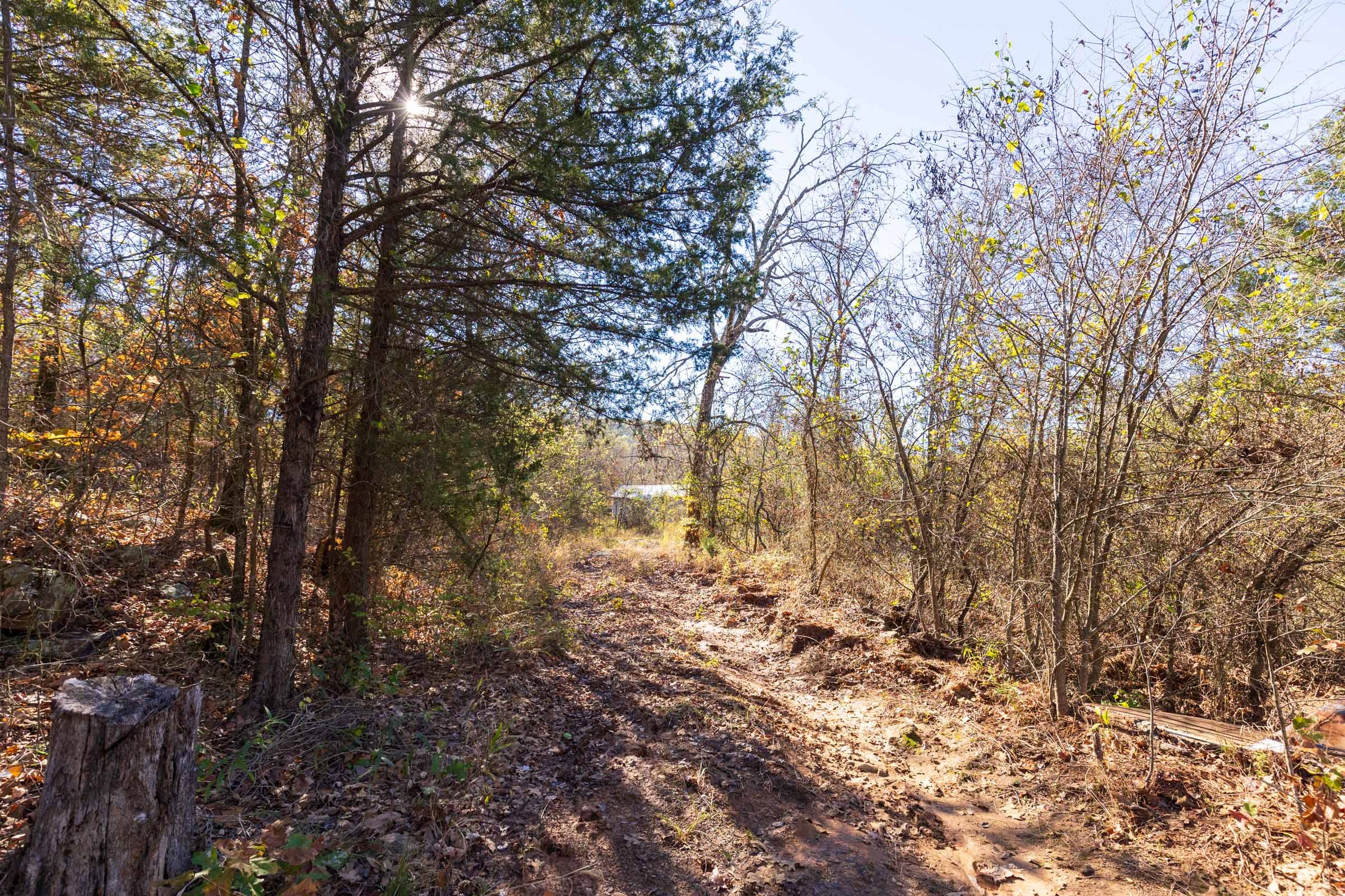 Stone Bridge Reserve Tract 14 photo 9