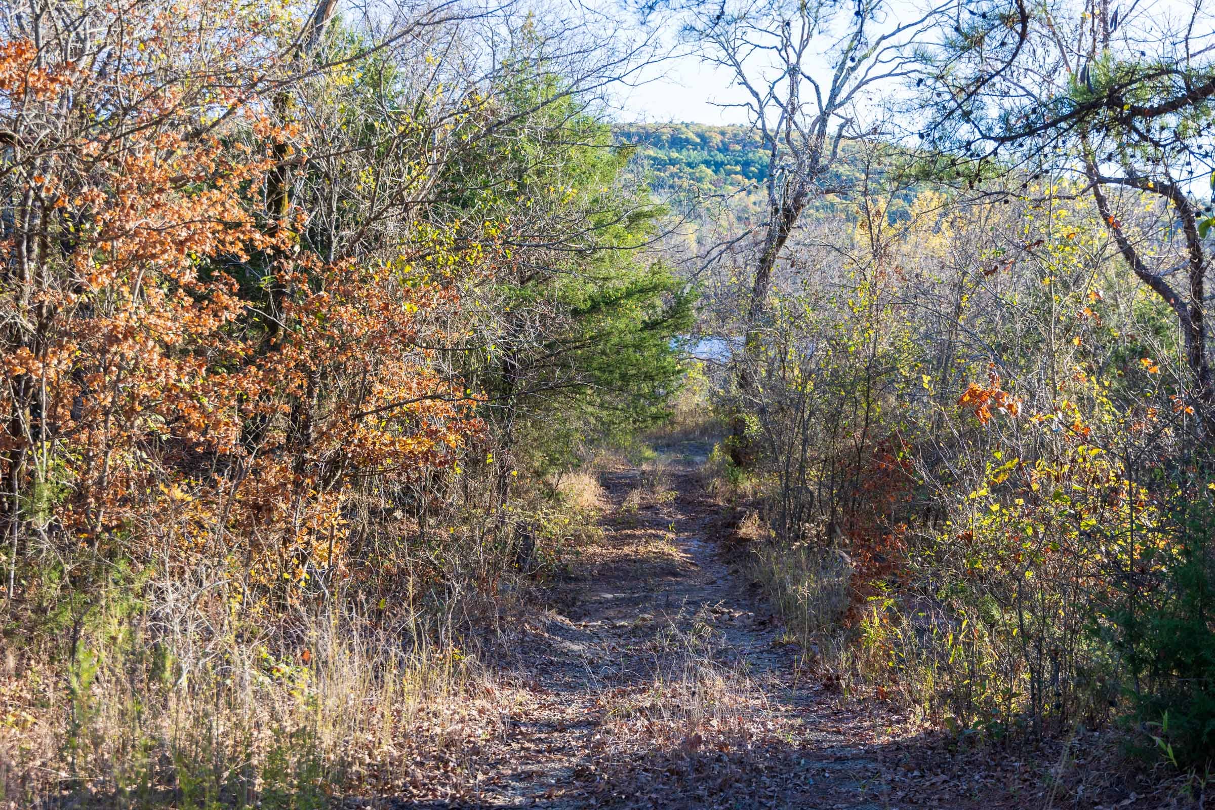Stone Bridge Reserve Tract 14 photo 1