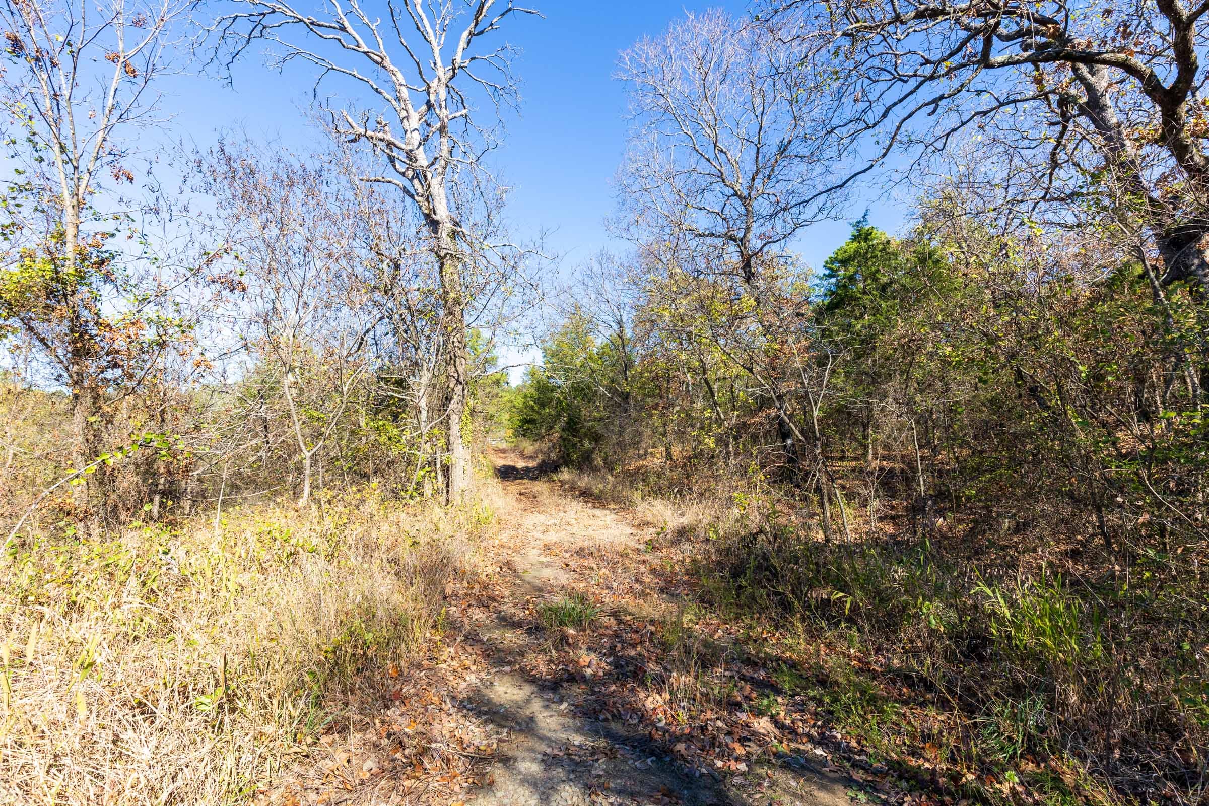 Stone Bridge Reserve Tract 14 photo 7