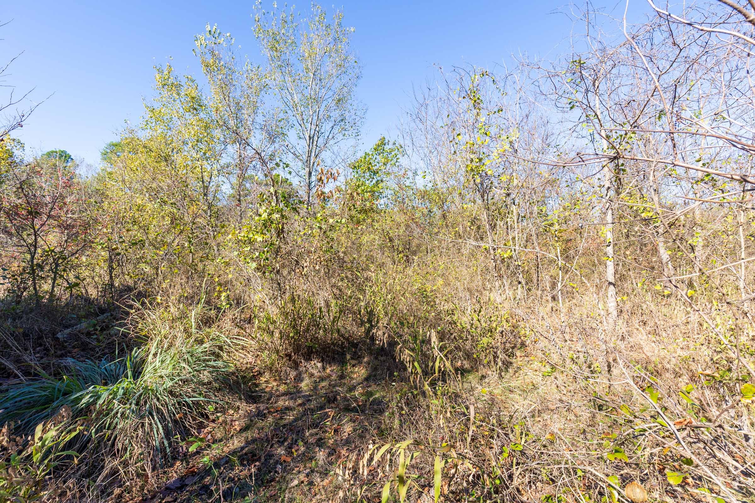 Stone Bridge Reserve Tract 14 photo 6