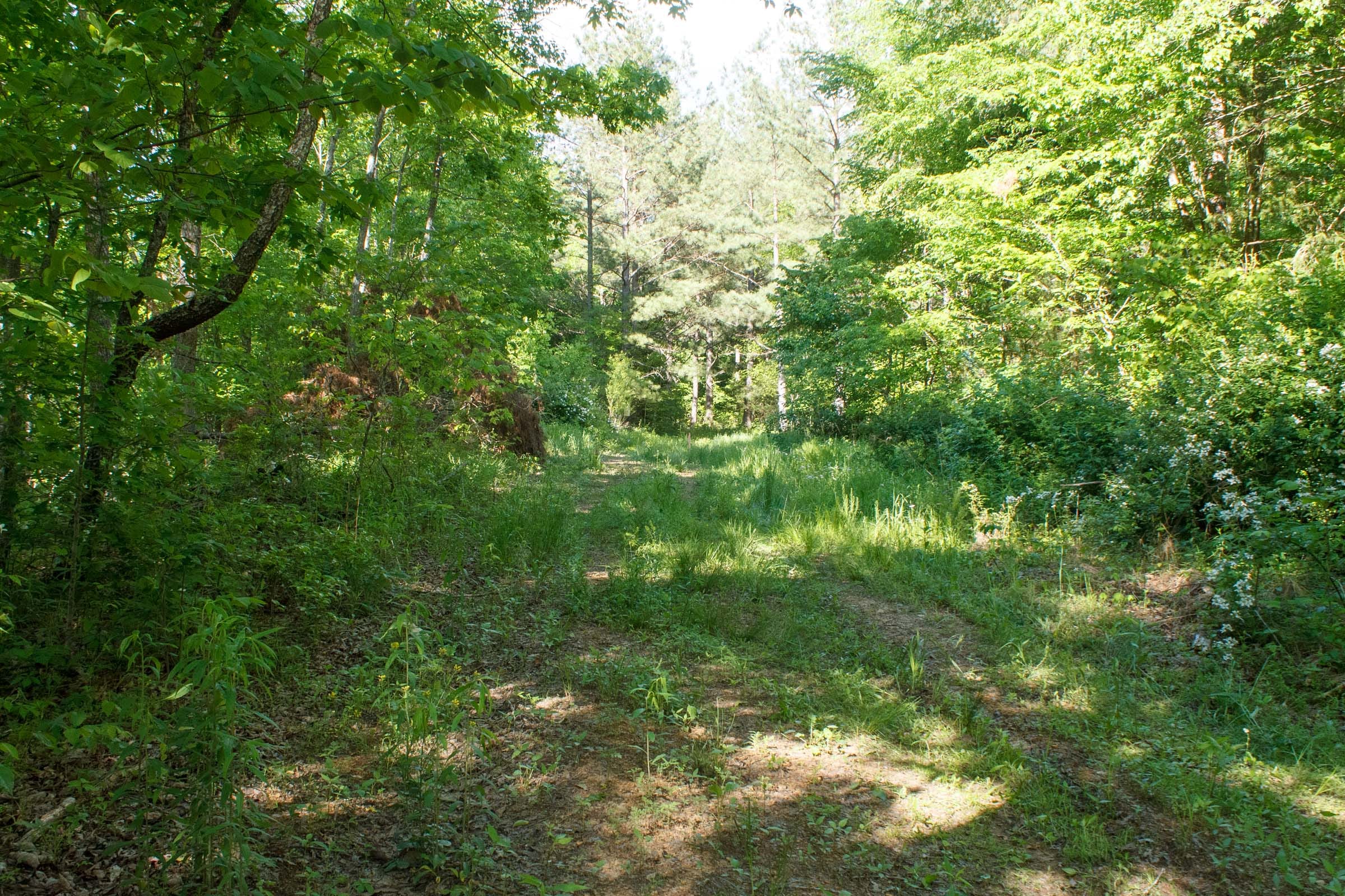 Riverbend Tract 21 photo 1