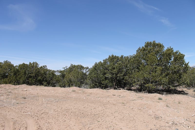 Sangre De Cristo Ranches Tract 4488 photo 2
