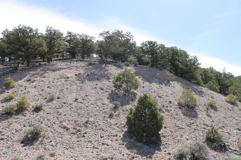 Sangre De Cristo Ranches Tract 4488 photo 11